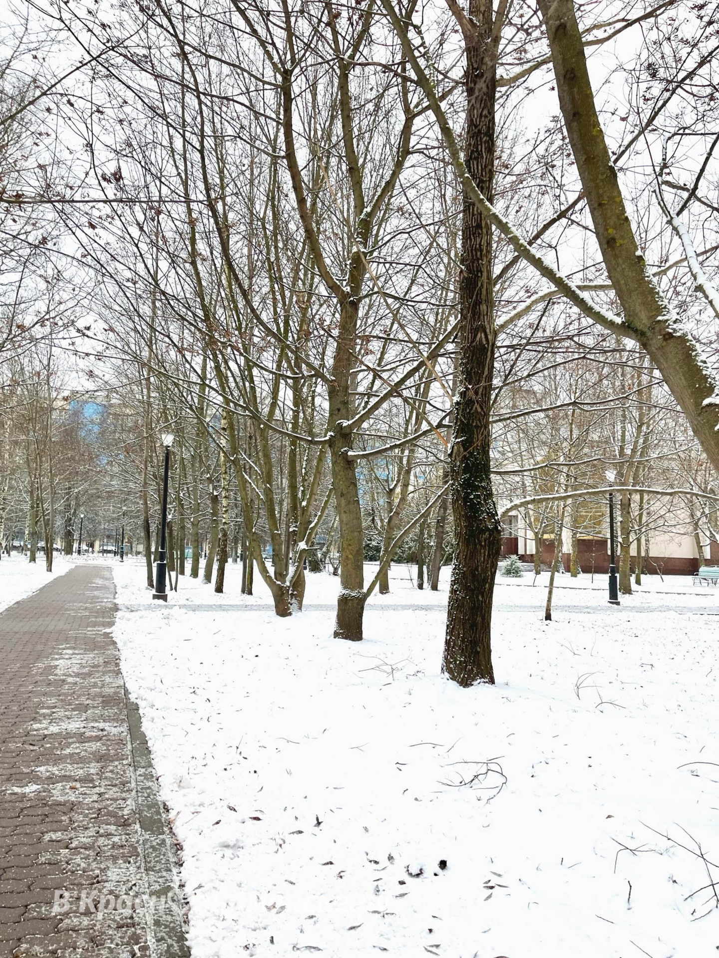 Снежная прогулка ❄️  © в Краснознаменске.ру Мы в telegram: t