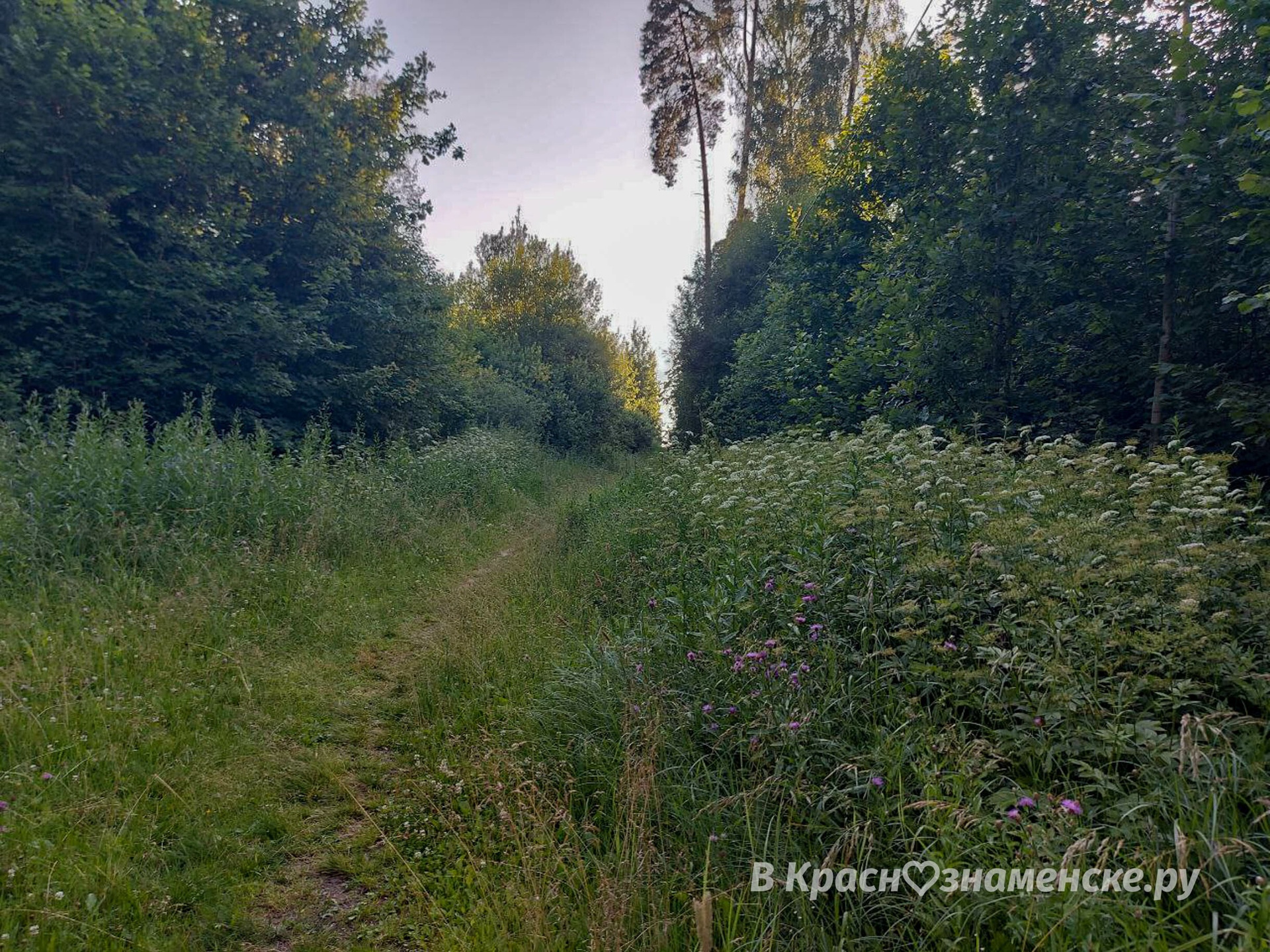 Фото 44630 — Краснознаменск