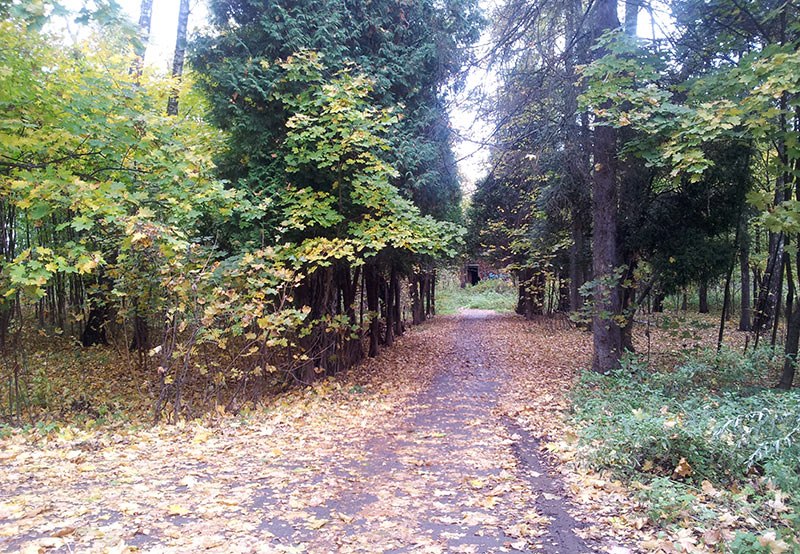 Осенняя прогулка по КГБшке 2013г. — Краснознаменск