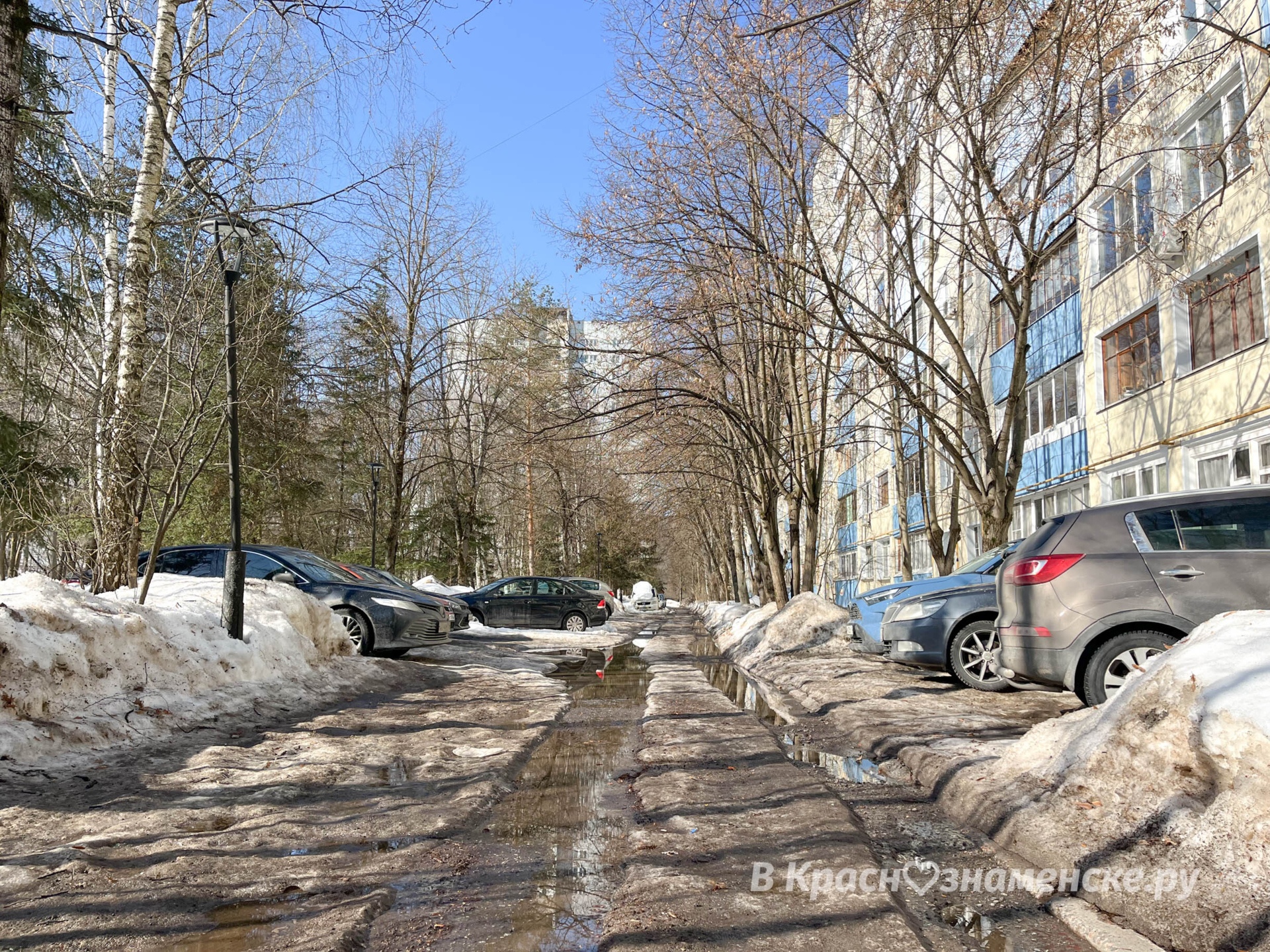 Весенняя прогулка по городу  *Краснознаменск в других соцсет