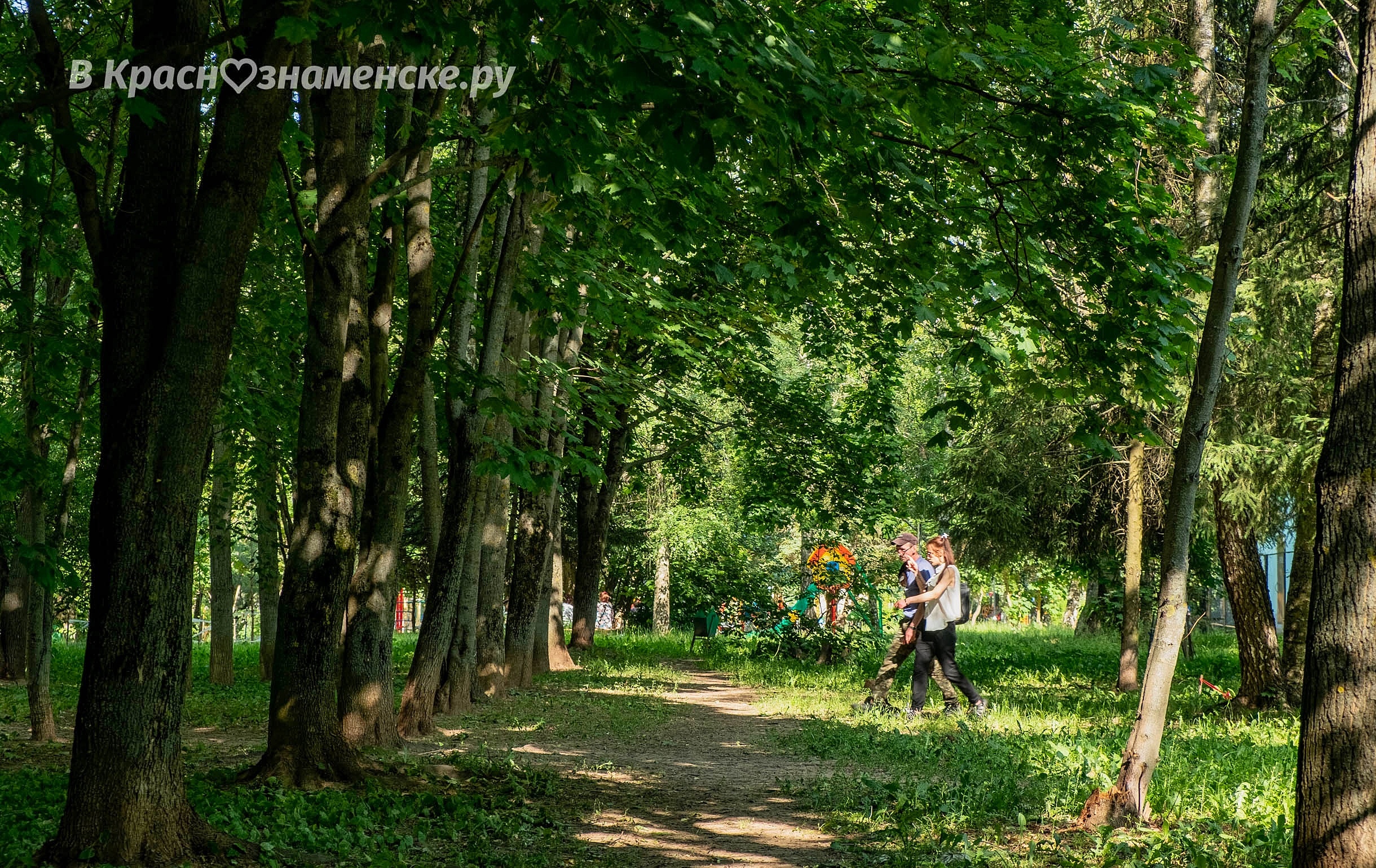 Прогулка по городу — Краснознаменск