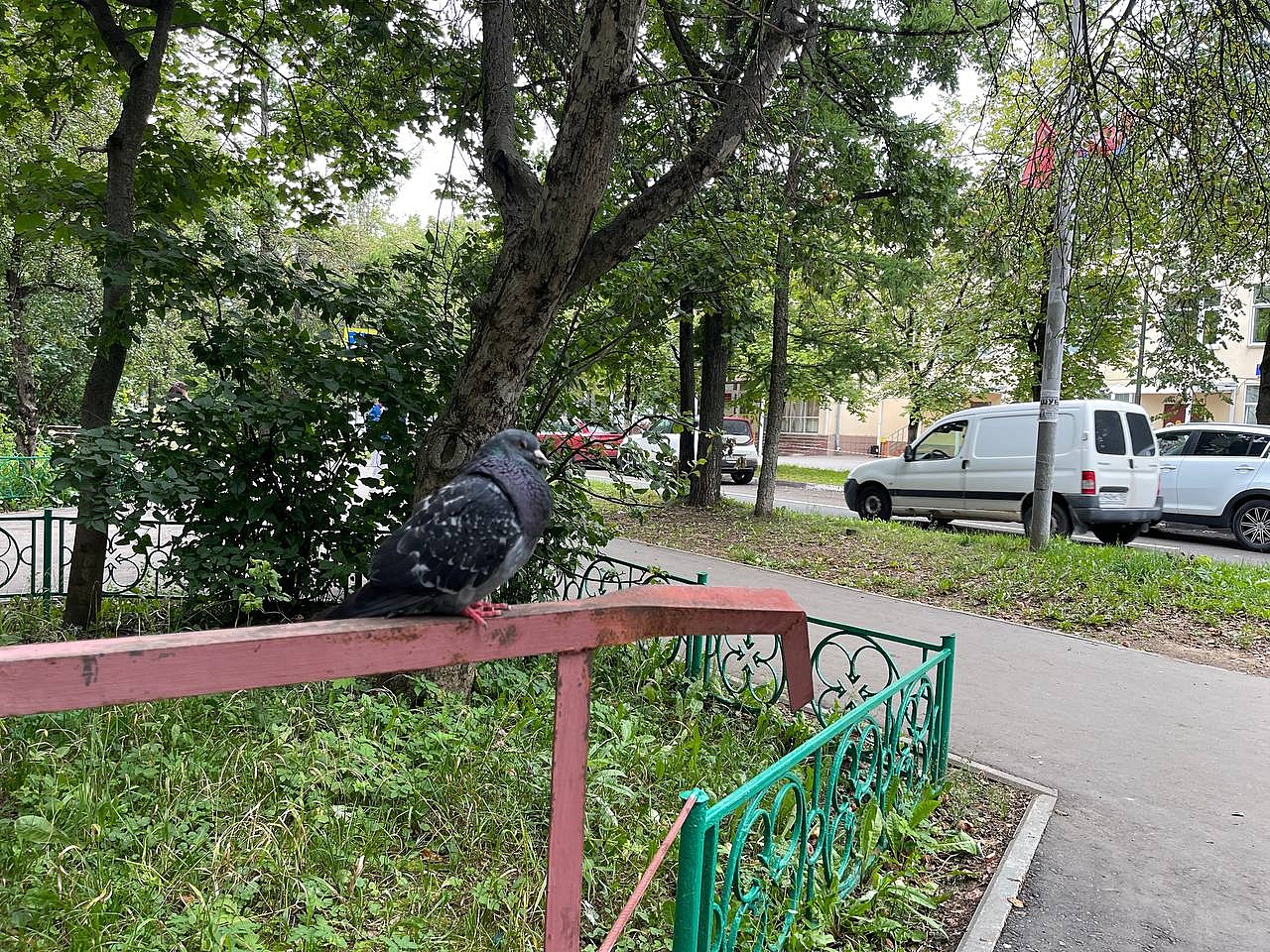 Прогулка по городу. — Краснознаменск