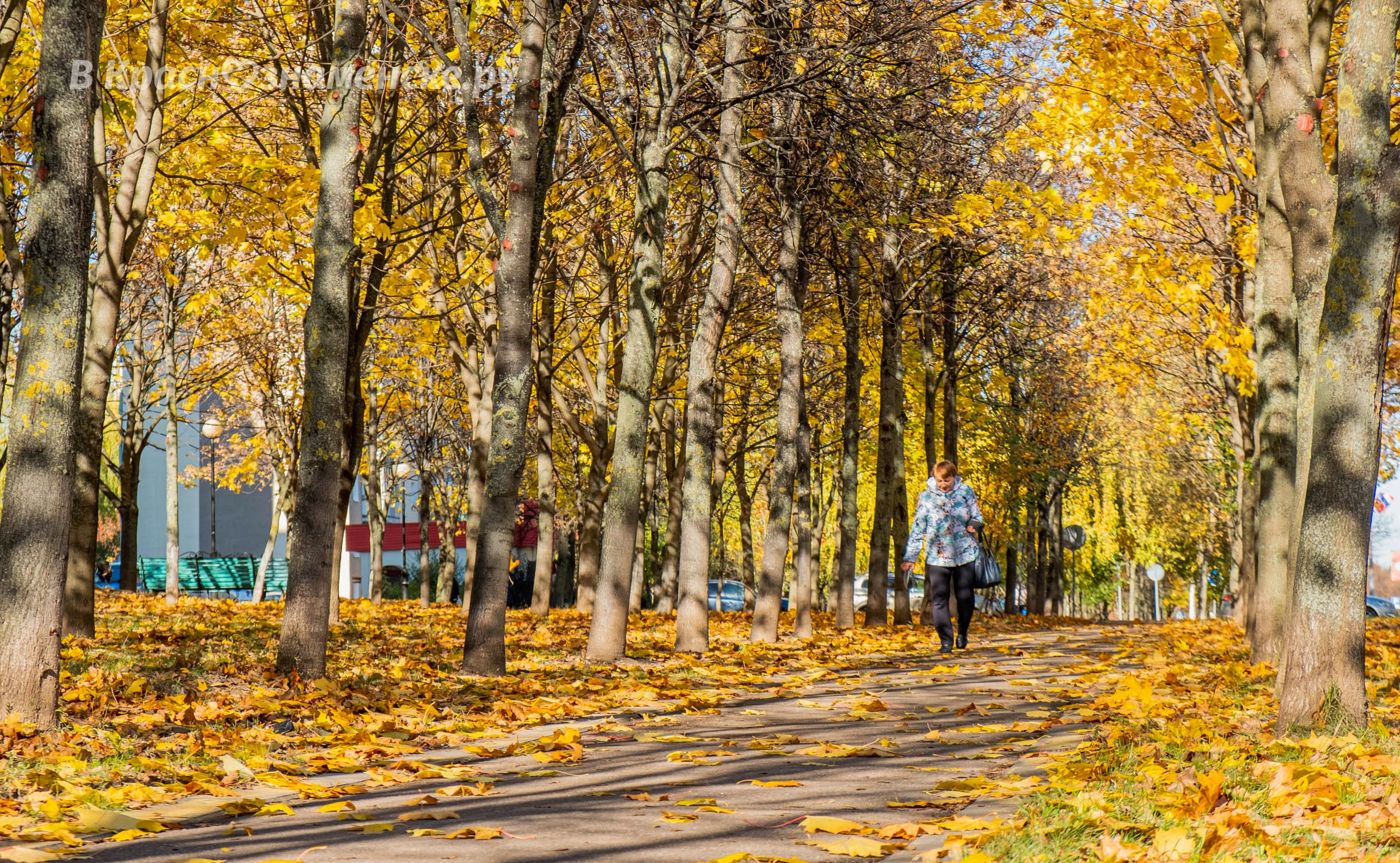 Фото 35558 — Краснознаменск