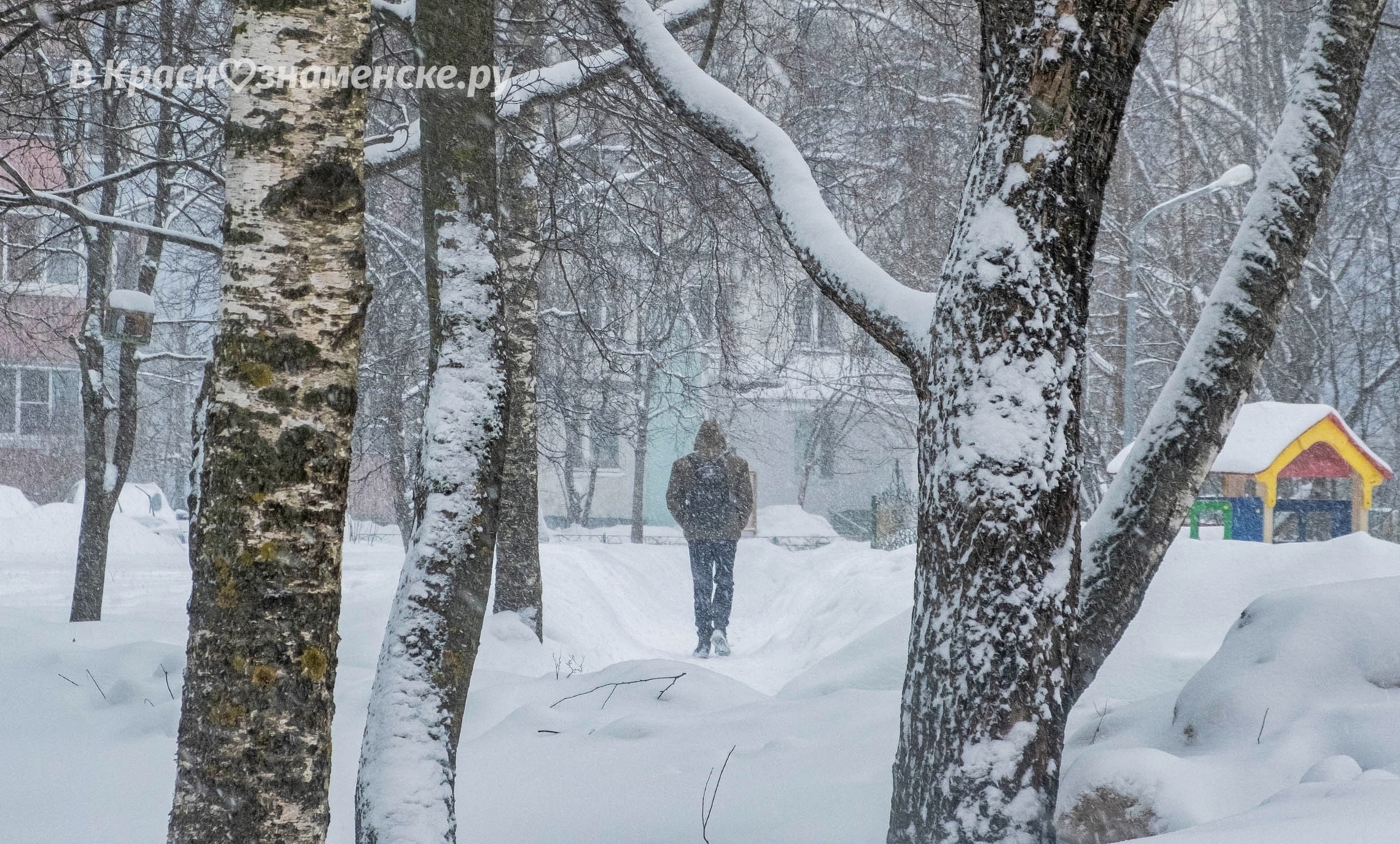 Январская прогулка по улицам города 2024г. — Краснознаменск