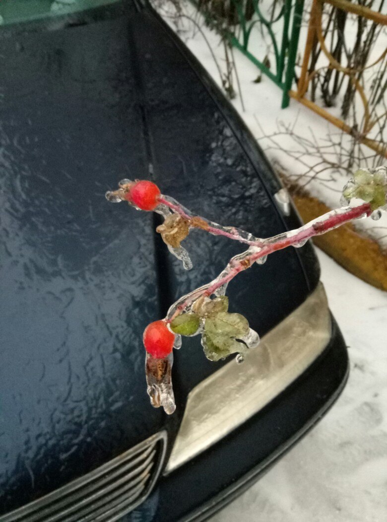 Не удержался и запечатлел.