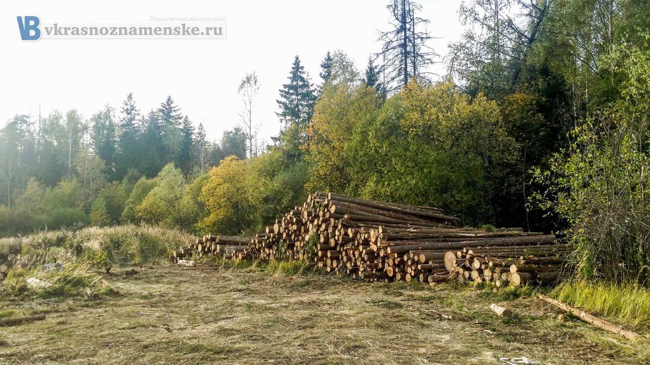 Быстрое меню — Краснознаменск