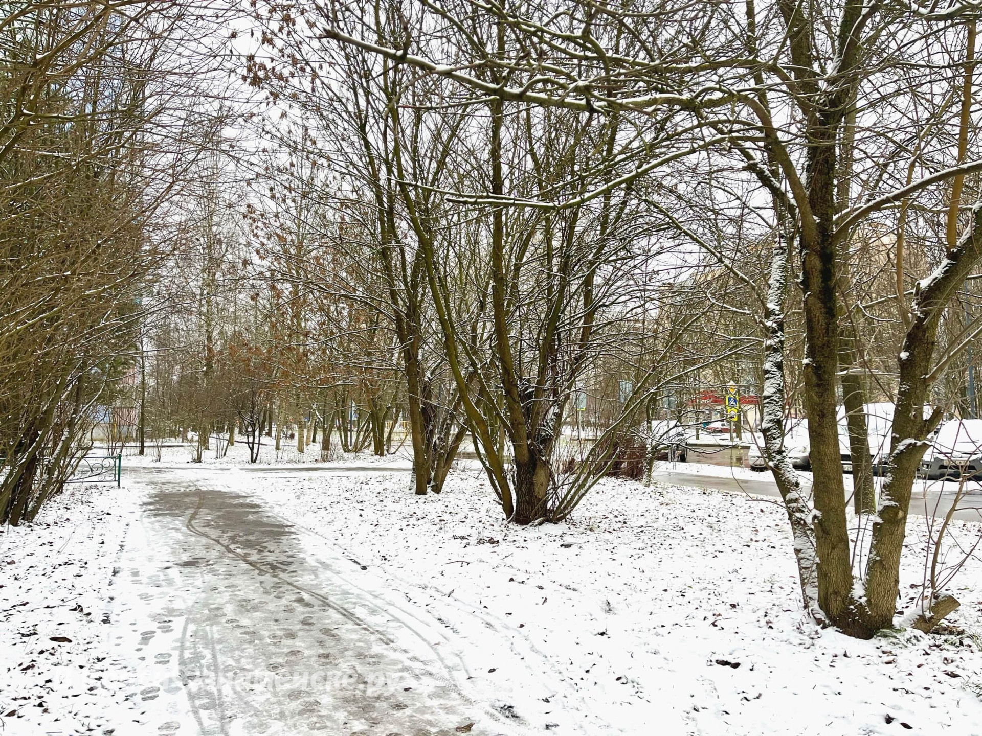 Снежная прогулка ❄️  © в Краснознаменске.ру Мы в telegram: t