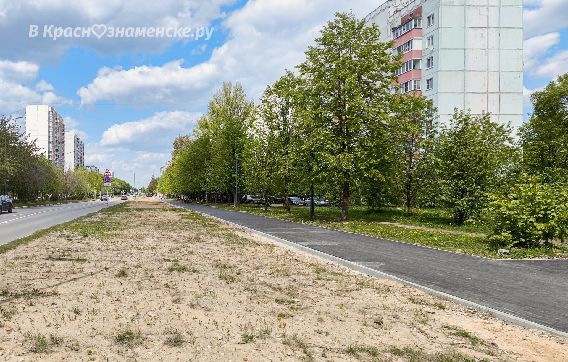 Краснознаменцы, какое озеленение вы бы хотели увидеть вдоль