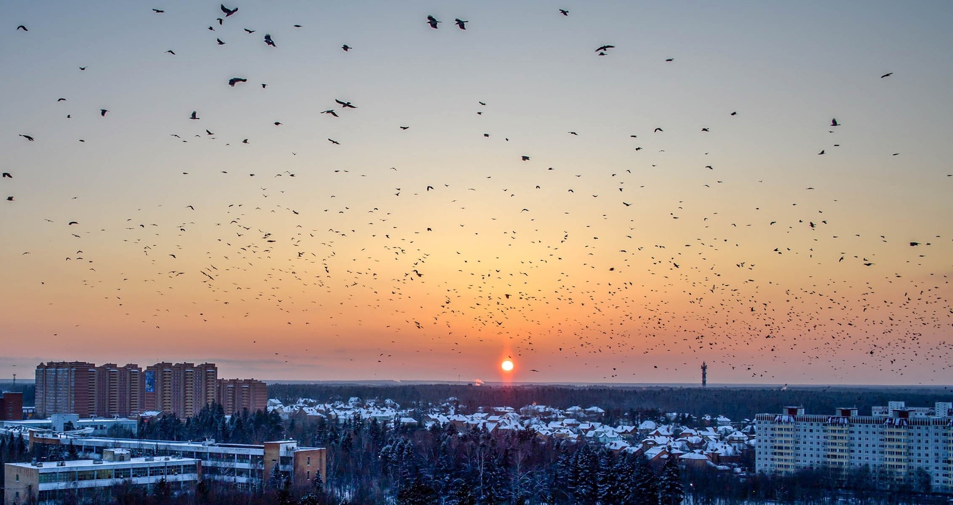 Красота краснознаменских закатов