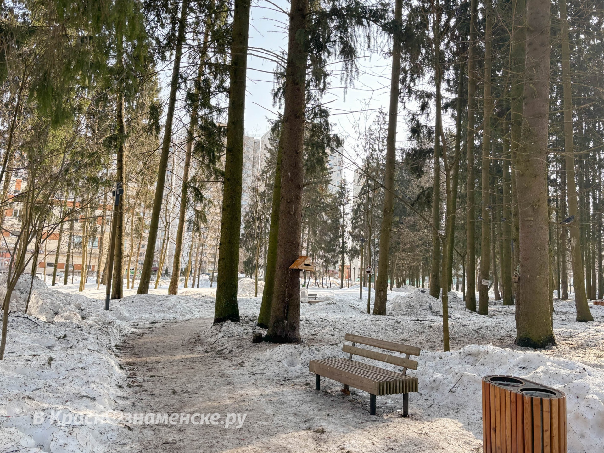 Весенняя прогулка по парку  *Краснознаменск в других соцсетя