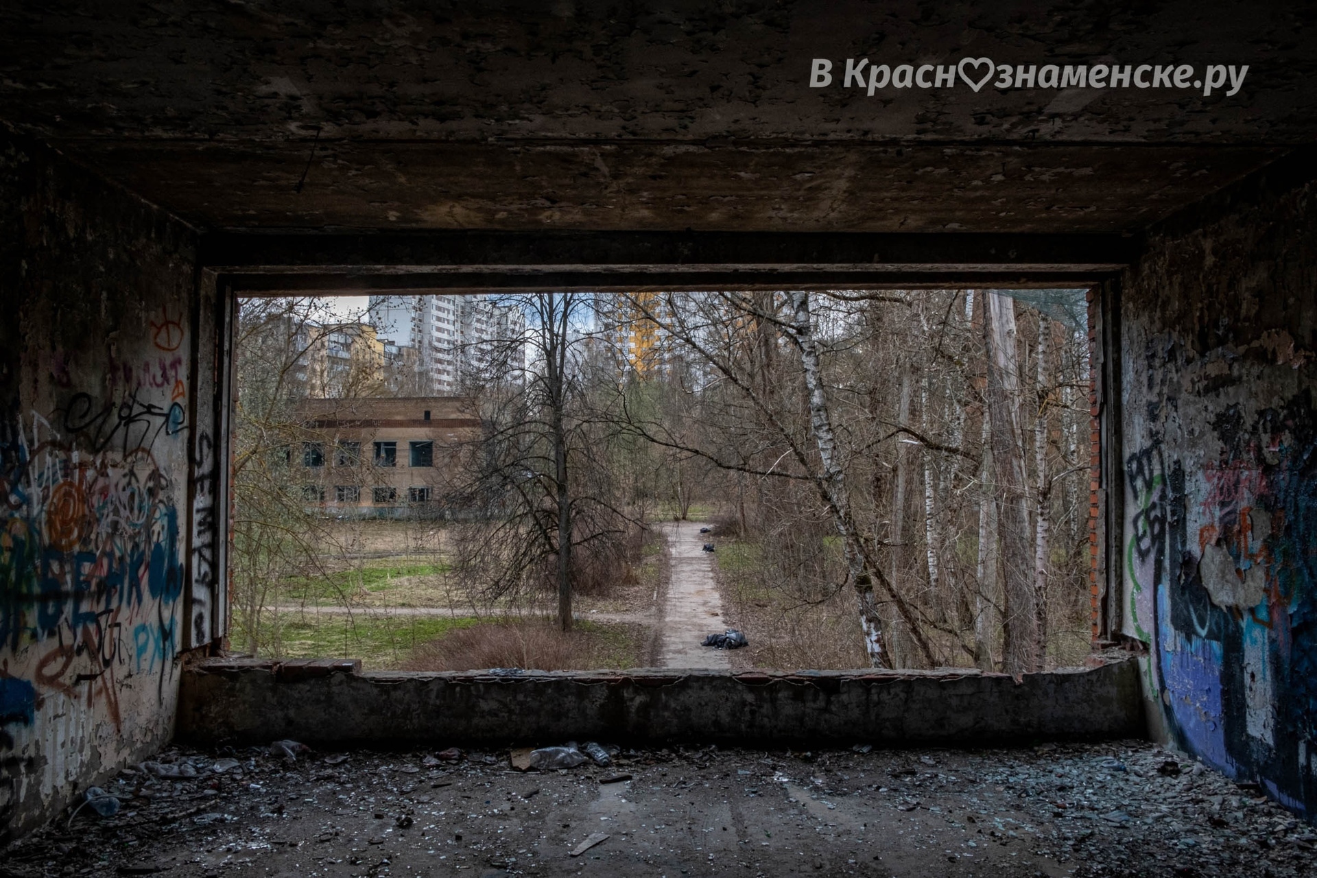Фото 49151 — Краснознаменск