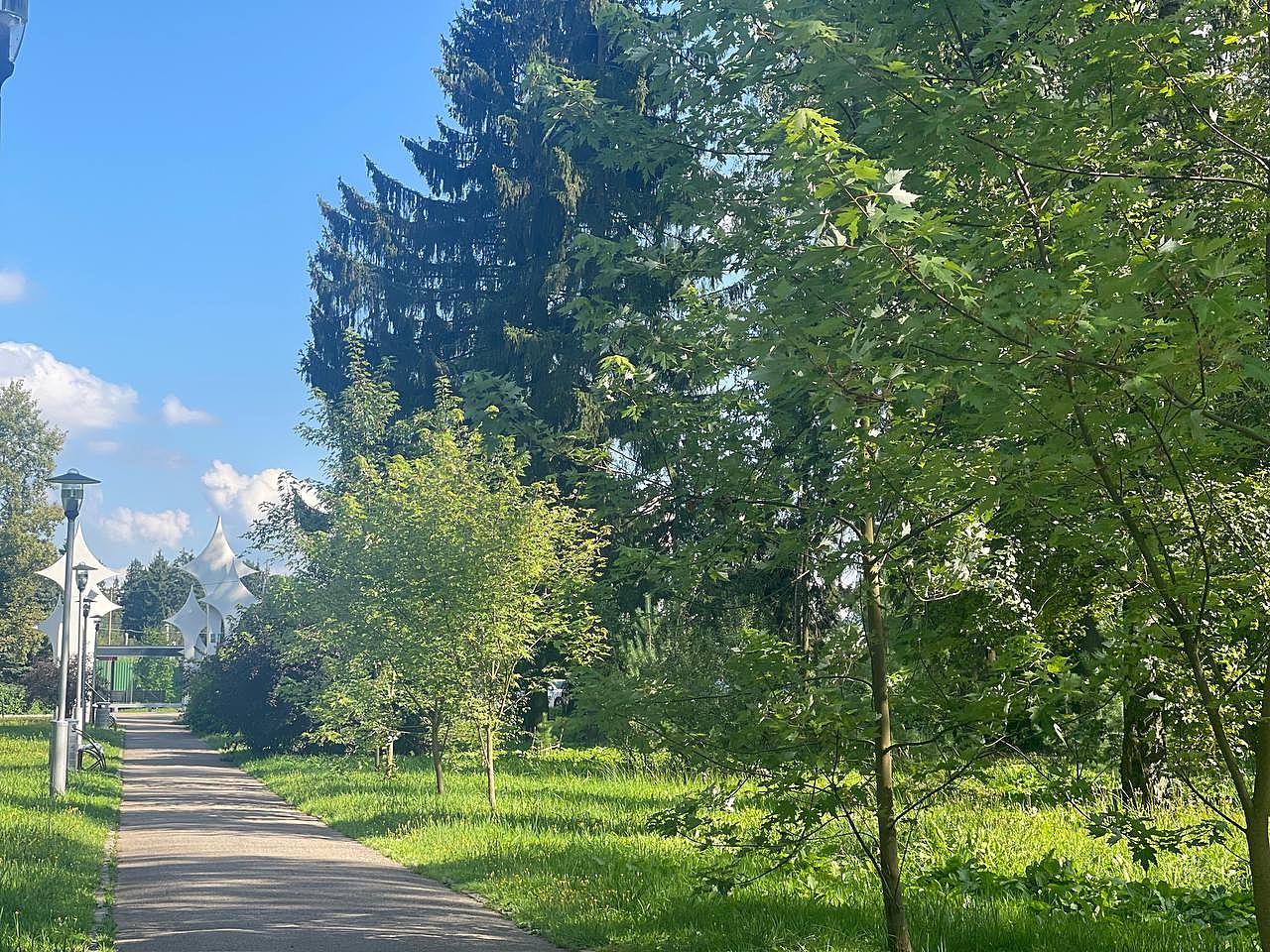 Прогулка по городу — Краснознаменск