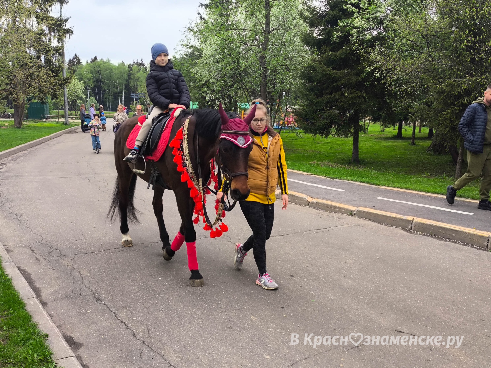 В Городском парке тоже на лошадях катают  *Краснознаменск в