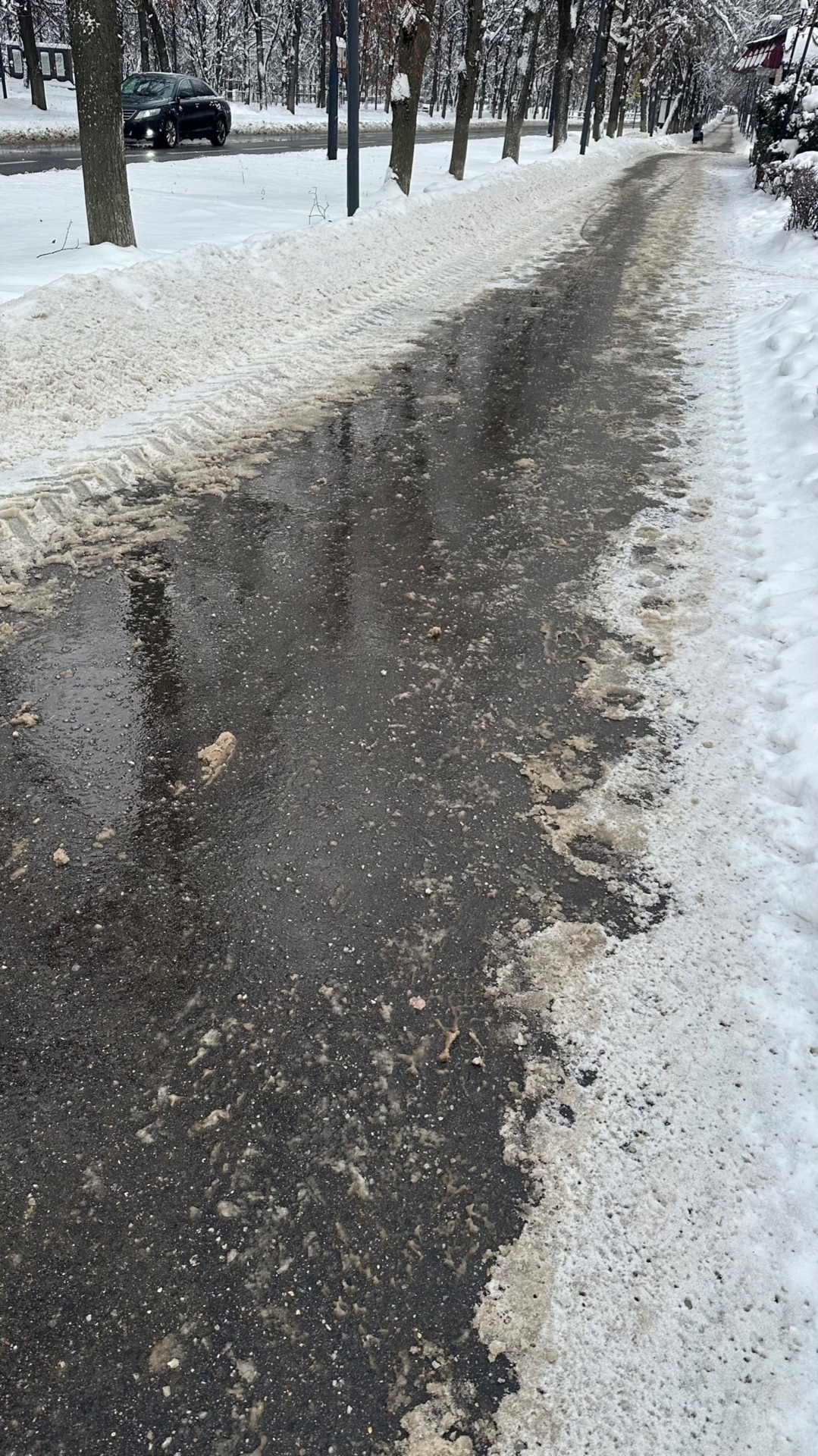 Прекратите сыпать столько соли Ее уже по колено — Краснознаменск