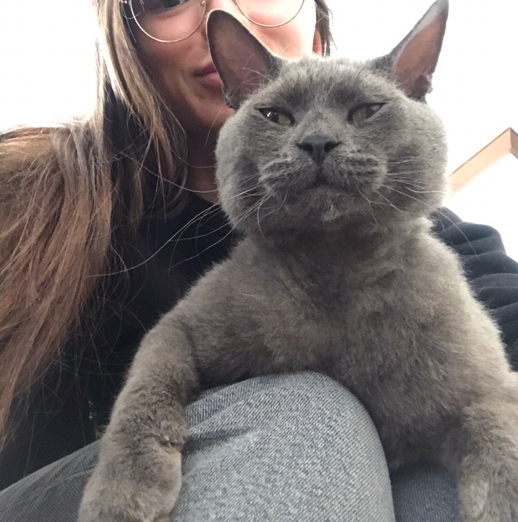 ????Друзья, потерялся кот! ???? ‼Возможно именно Вы сможете помочь
