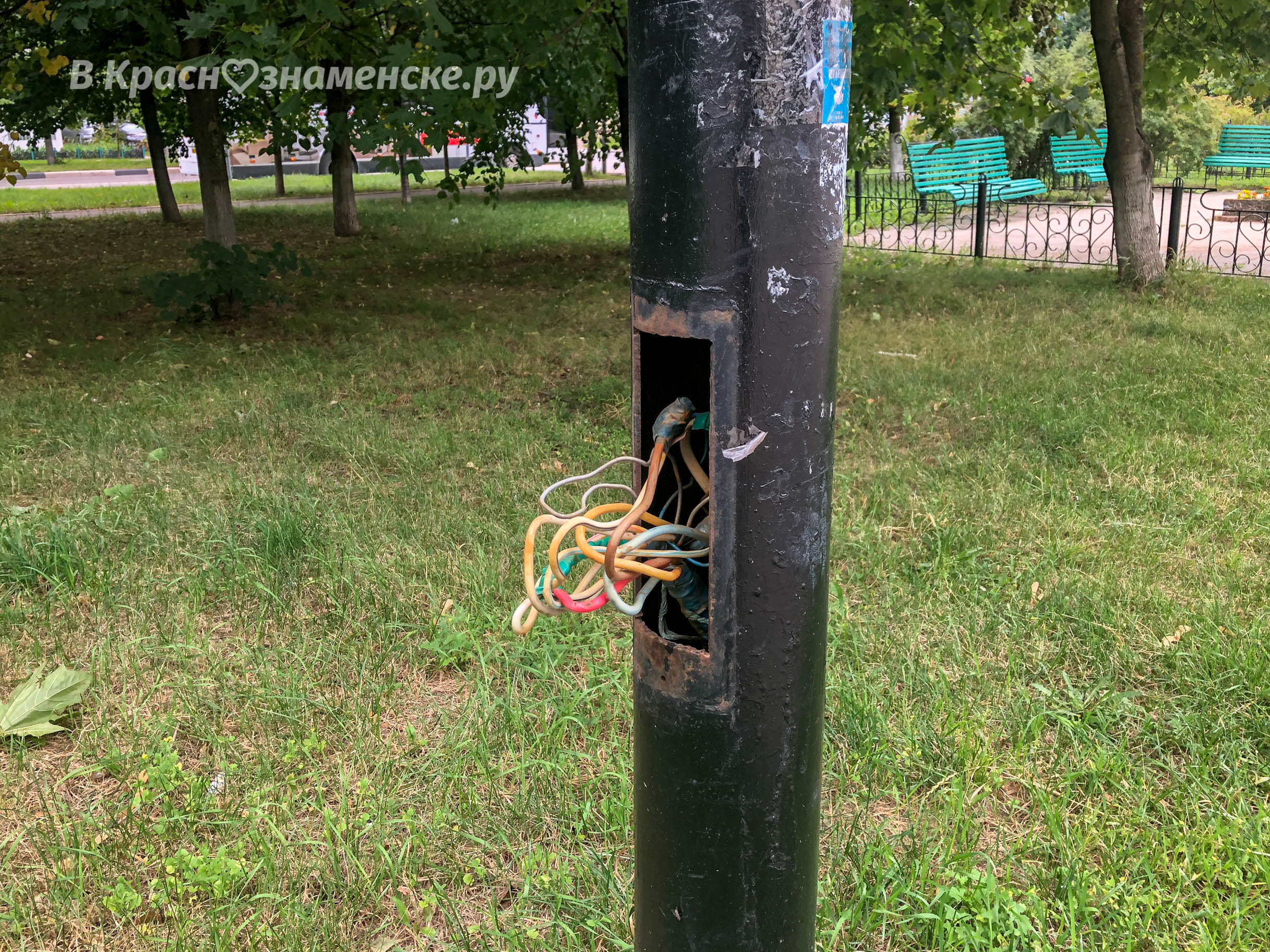 На улице Победы стоят фонарные столбы, до проводов которых о