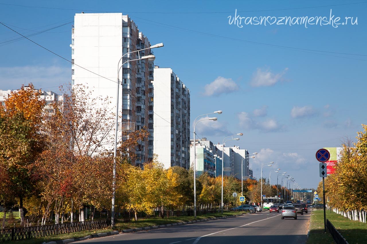 Кот в ступоре, он как и я ни разу не искупался этим летом =)