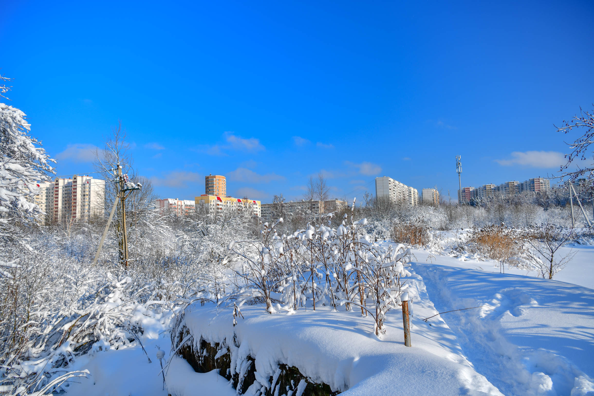 В окрестностях Краснознаменска