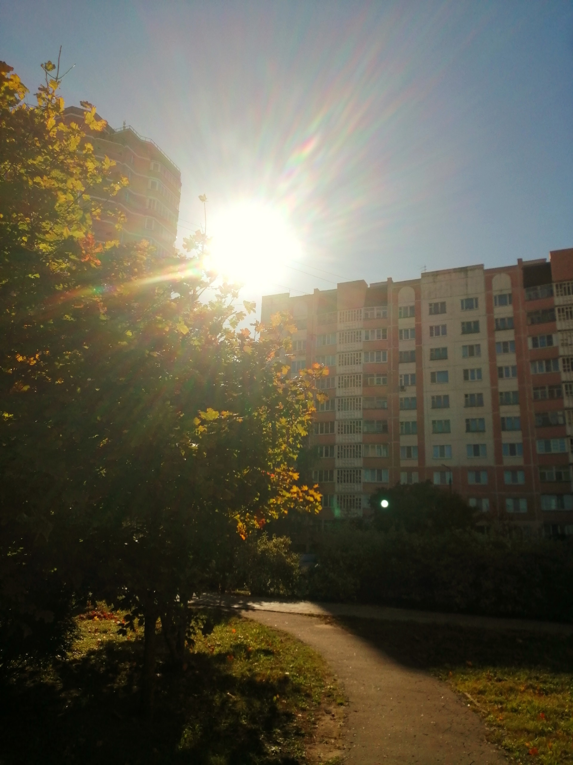 Прогулка по городу  ????Наталья Меняйлова — Краснознаменск