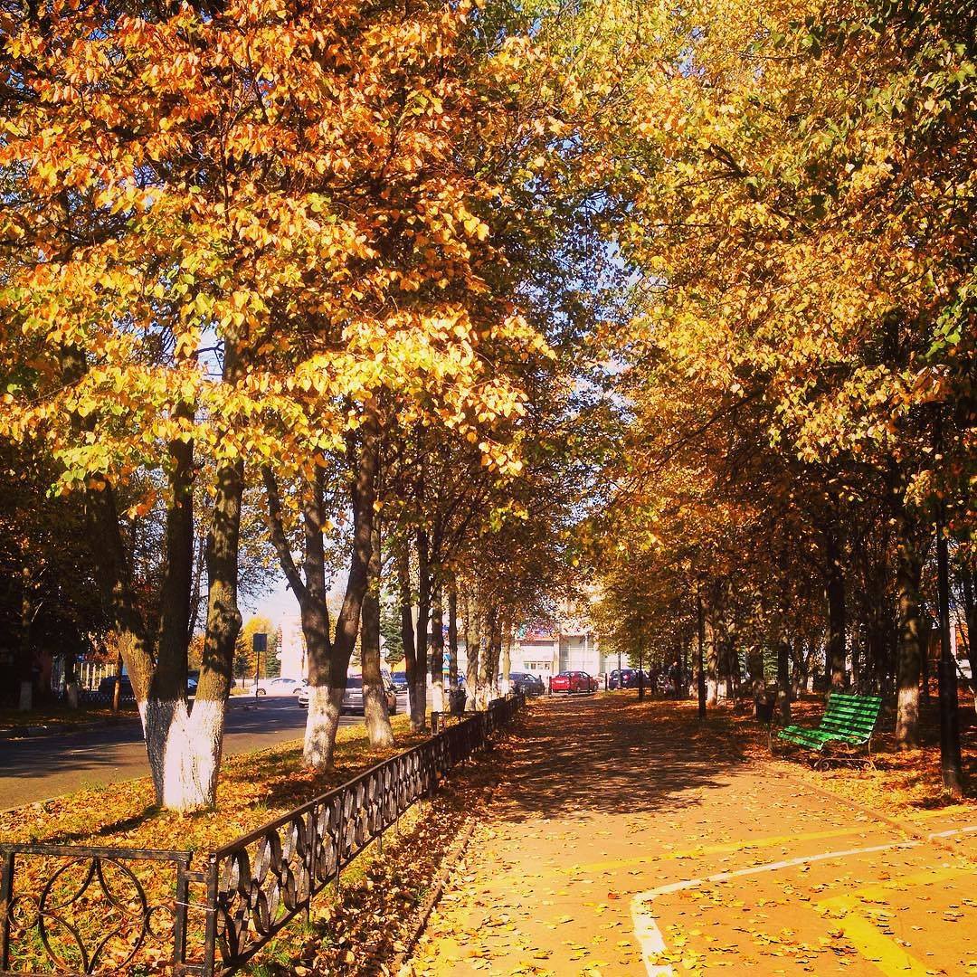 [club27992616|Золотая] Автор фотографии [id90476019|Ксения И