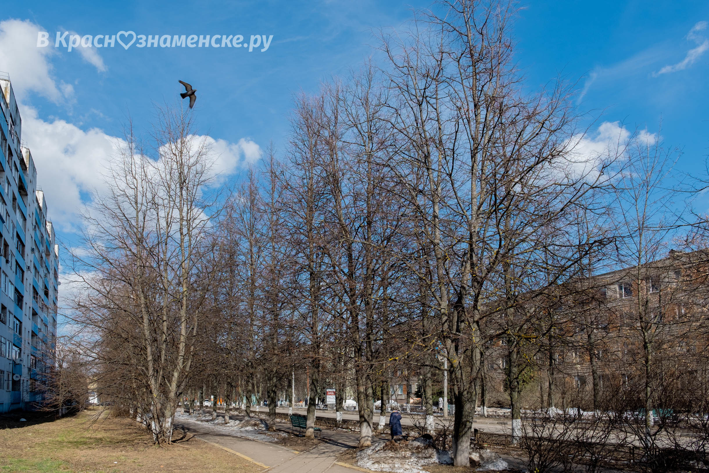 Доброе утро, Краснознаменск! Утром +2°… +4°, Пасмурно, Давле
