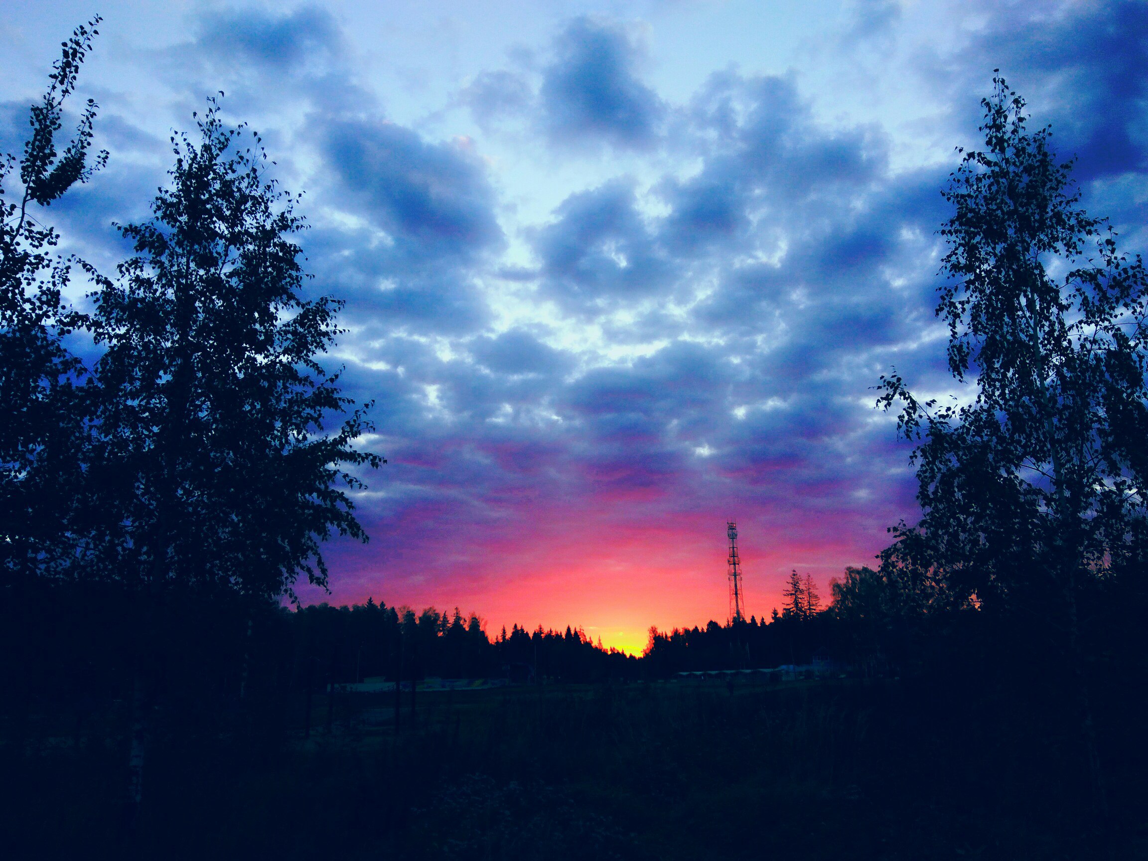 Доброе утро Краснознаменск #asvprod