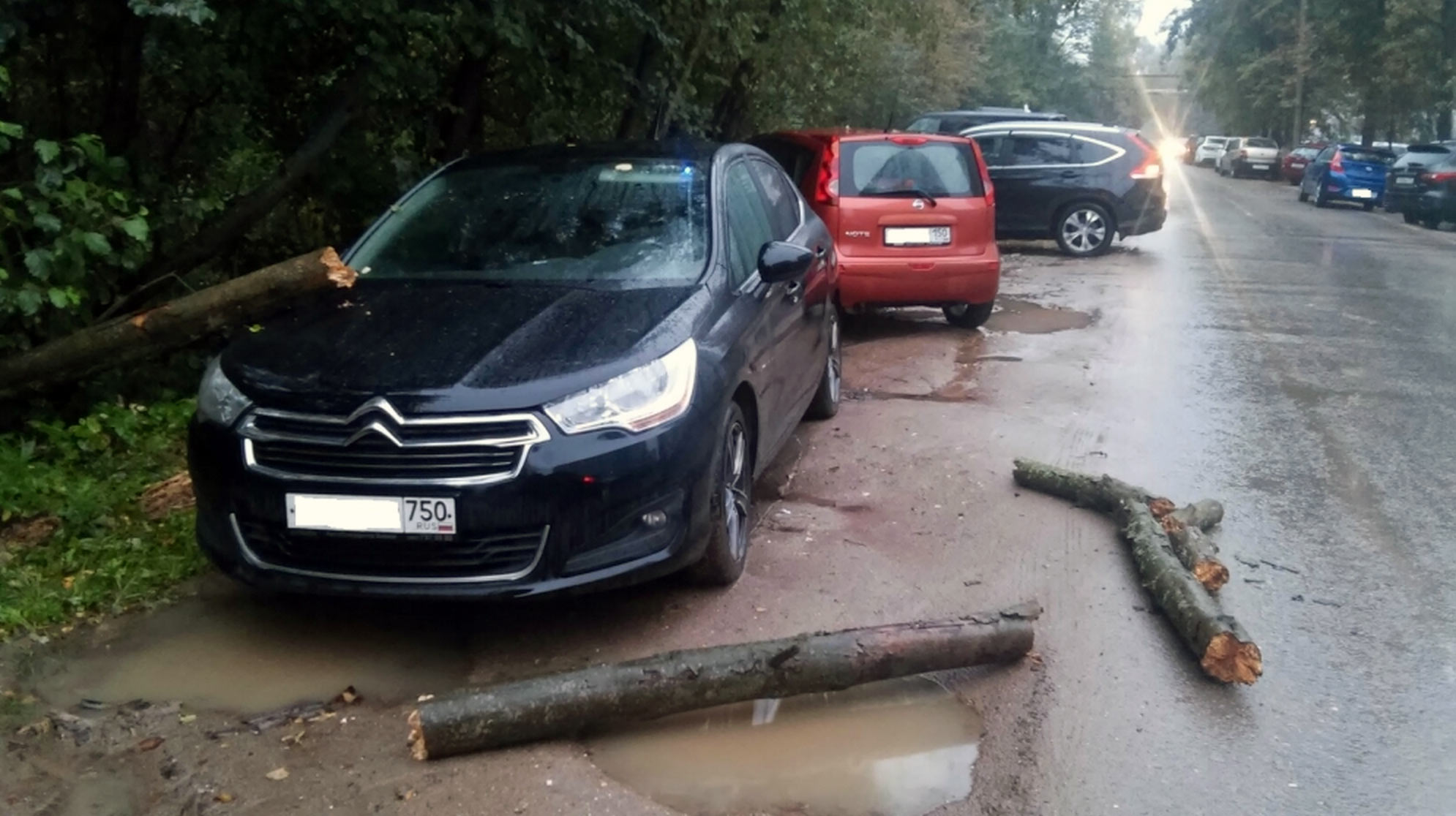 Автор фотографии http://nasvyazistov.com/