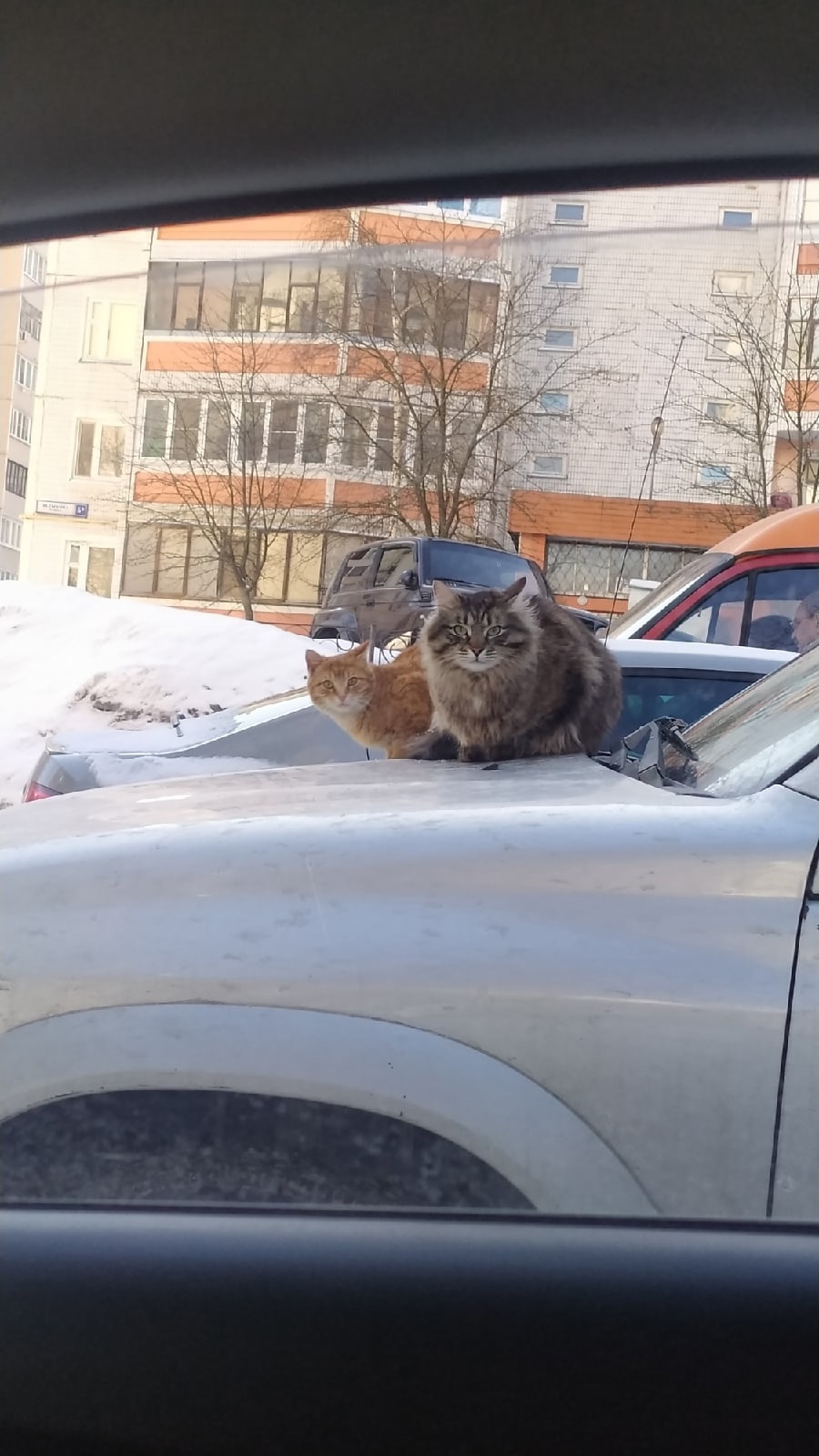 Знайте, вы всегда под пристальным присмотром) — Краснознаменск