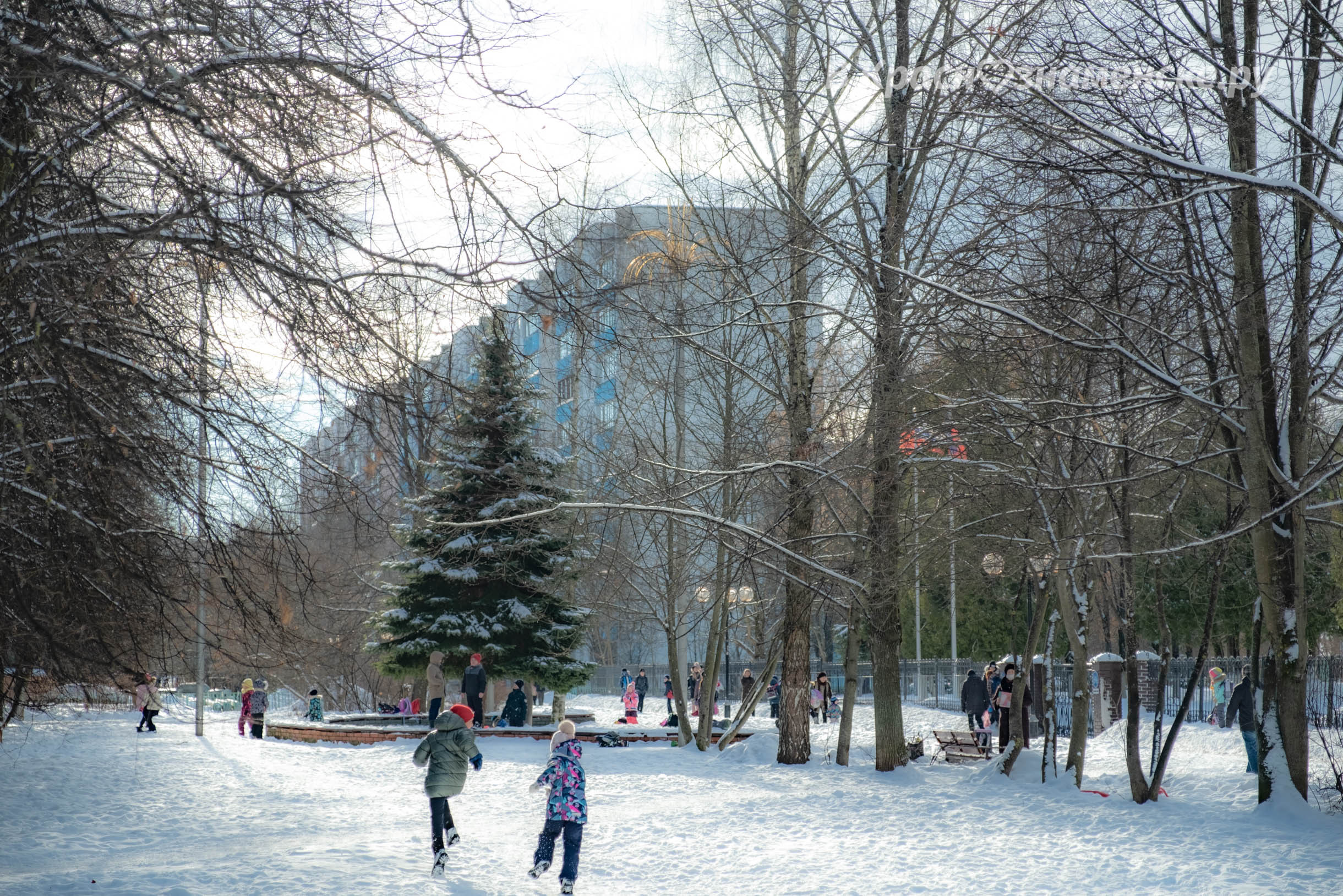 Доброе утро, Краснознаменск! ❄ Утром -10°... -9°,  Пасмурно,