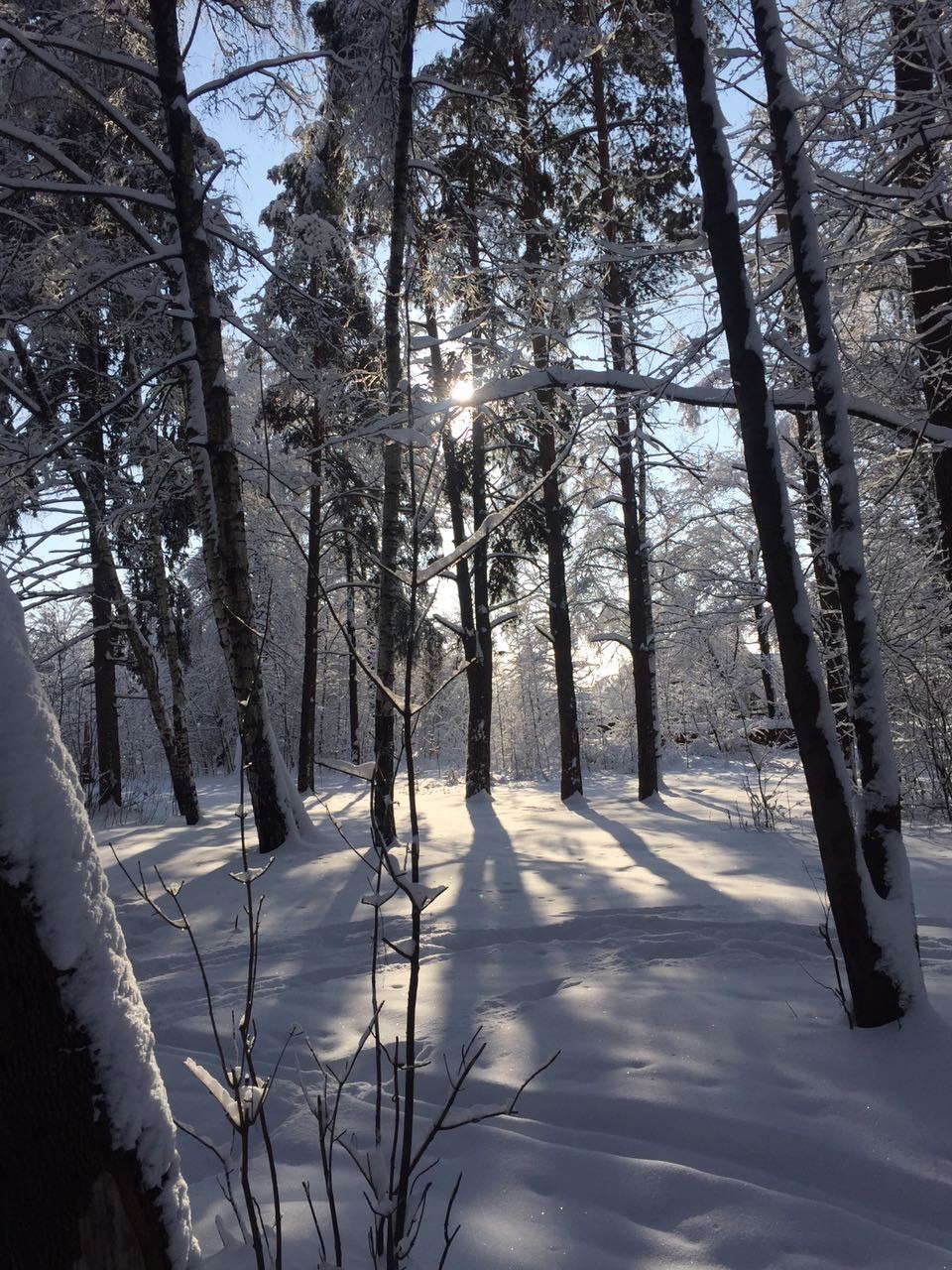 Красота — Краснознаменск