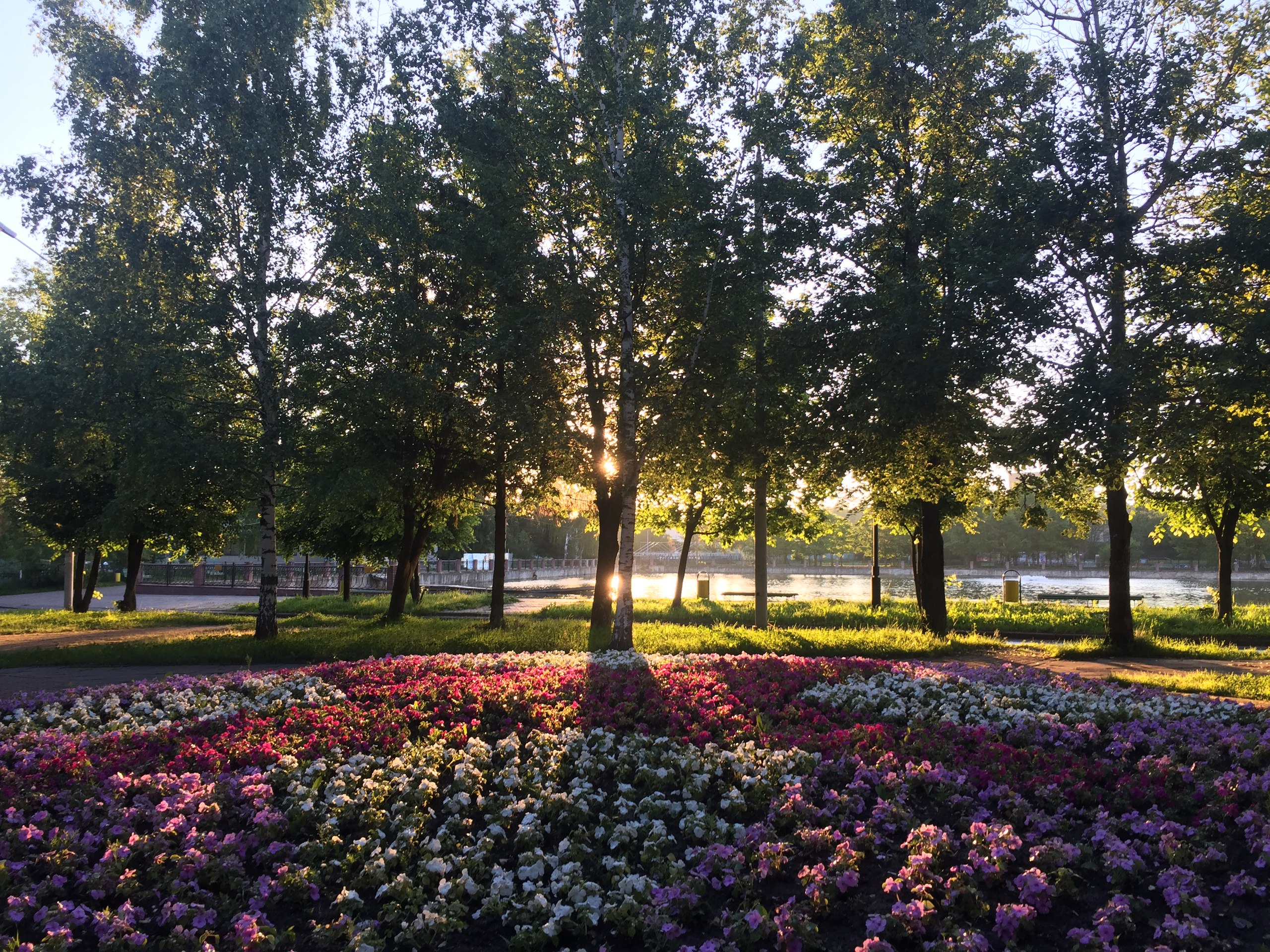 Доброе утро, Краснознаменск!