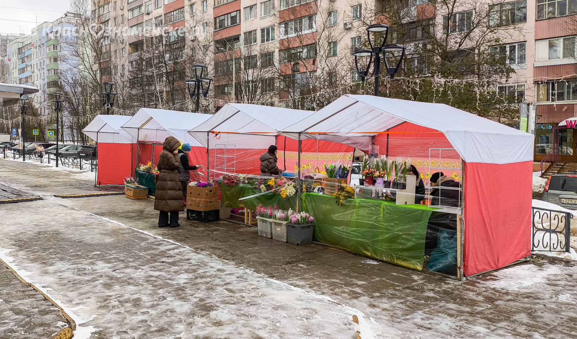 У Центрального рынка заработал цветочный базар.  Тюльпаны та