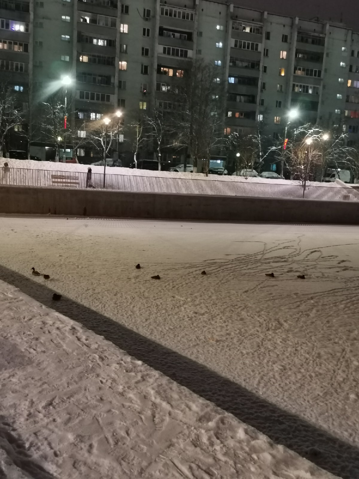 На озере замёрзла вода. Нет ни домика, ни еды, ни открытой в