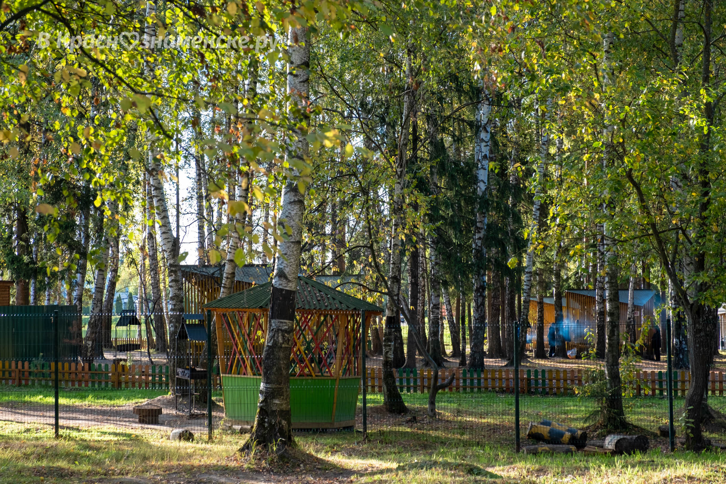 VK -27992616_645383
