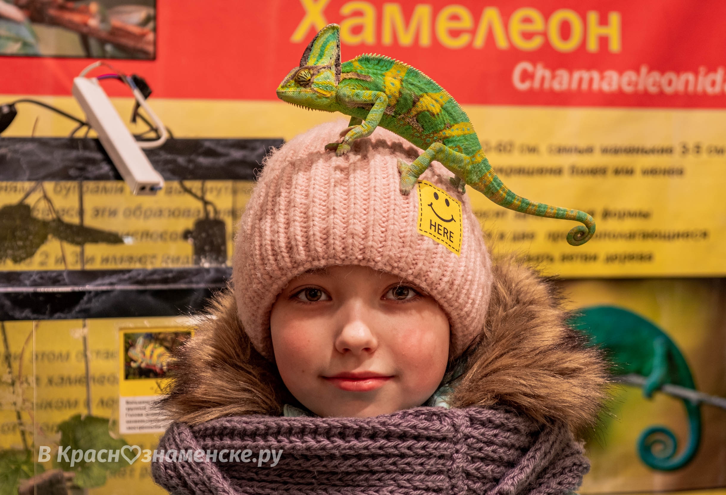 Быстрое меню — Краснознаменск