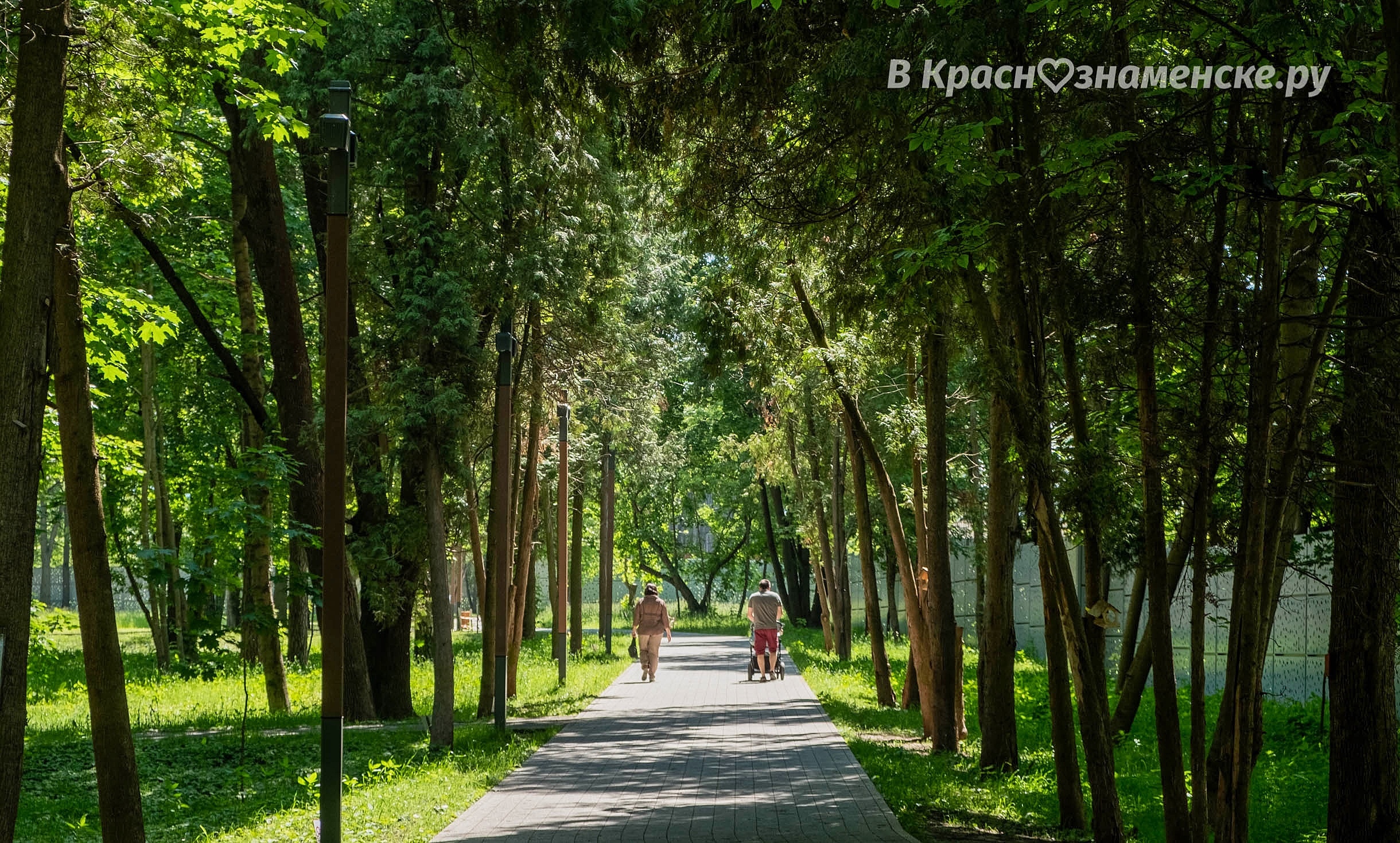 Прогулка по городу — Краснознаменск