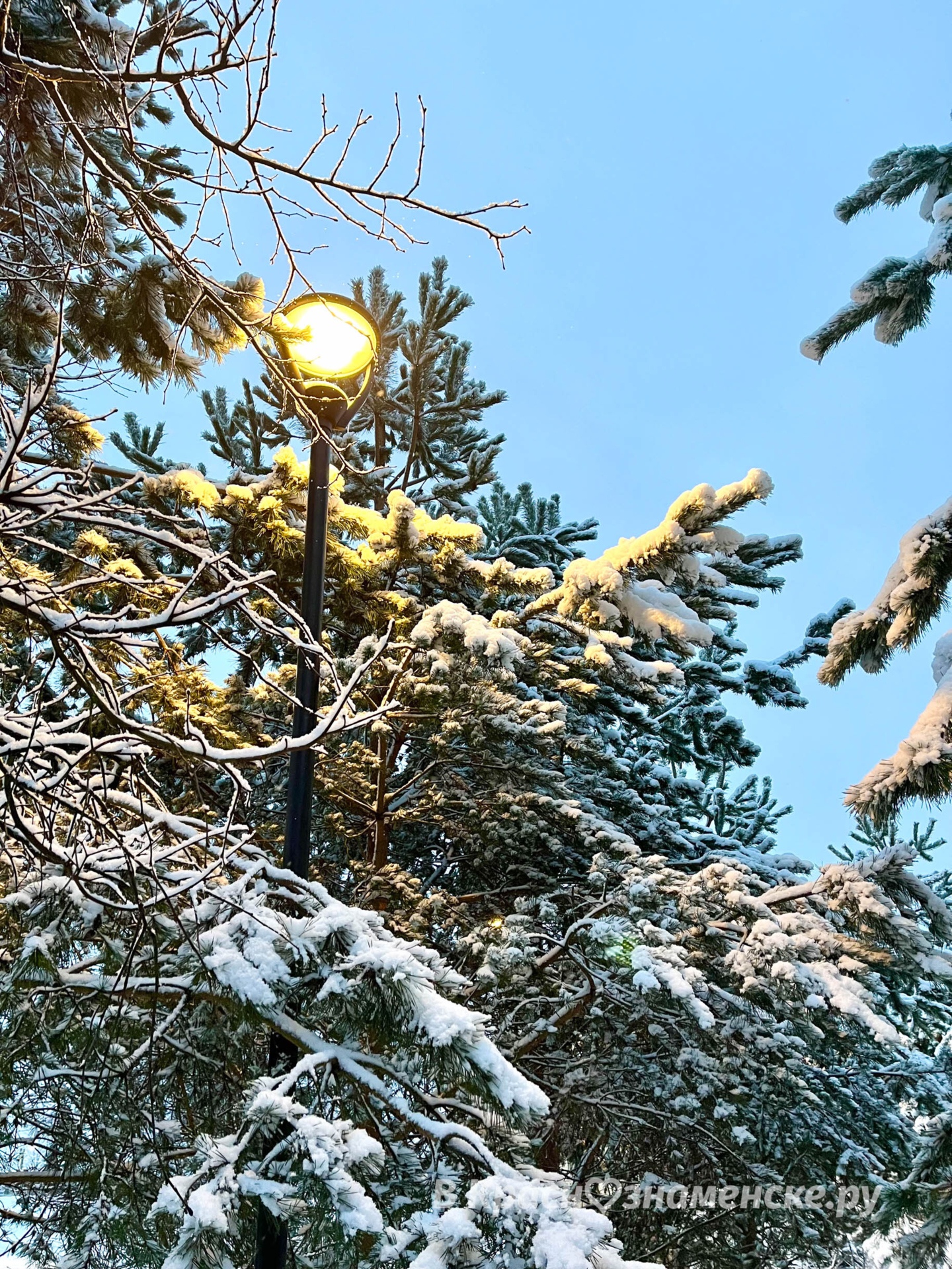 Утренняя прогулка по снежному городу ❄️  © в Краснознаменске