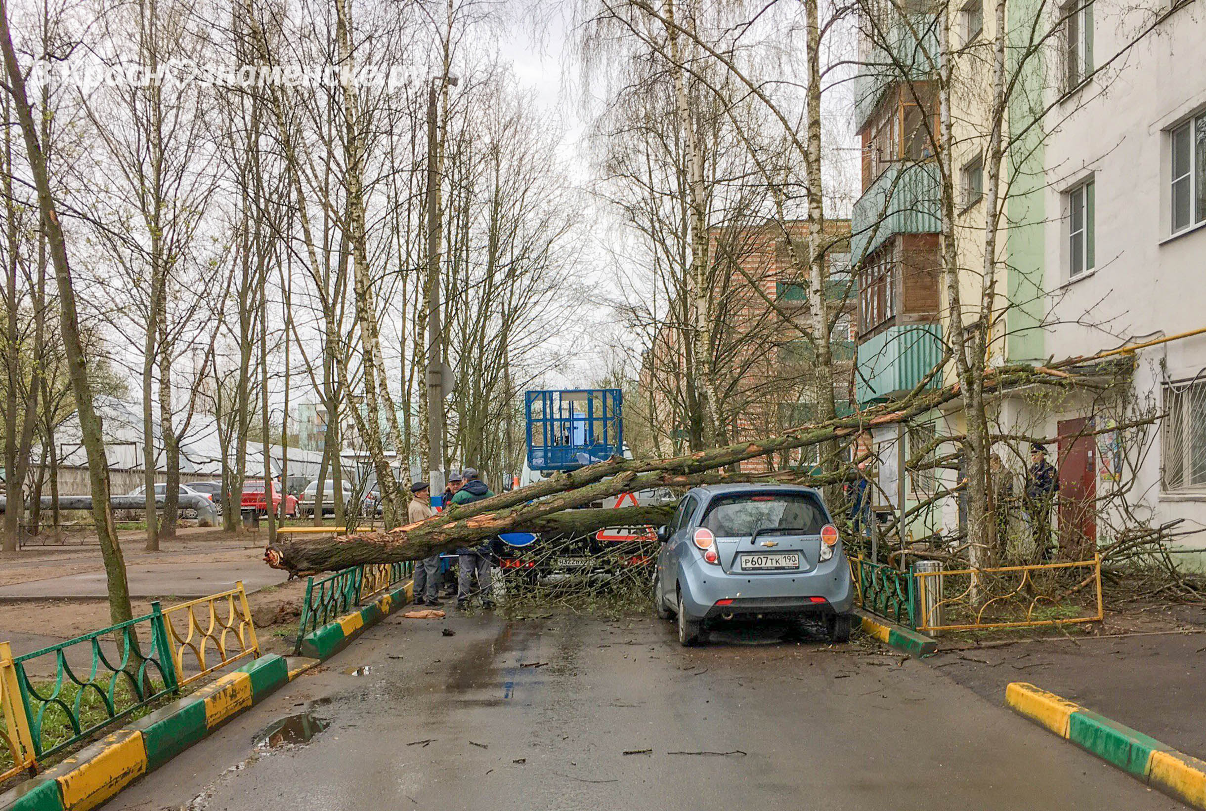 Фото 9680 — Краснознаменск