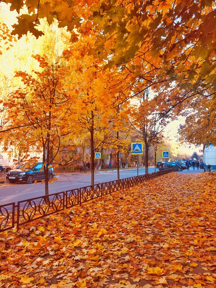 фото: Дарья Маслова — Краснознаменск