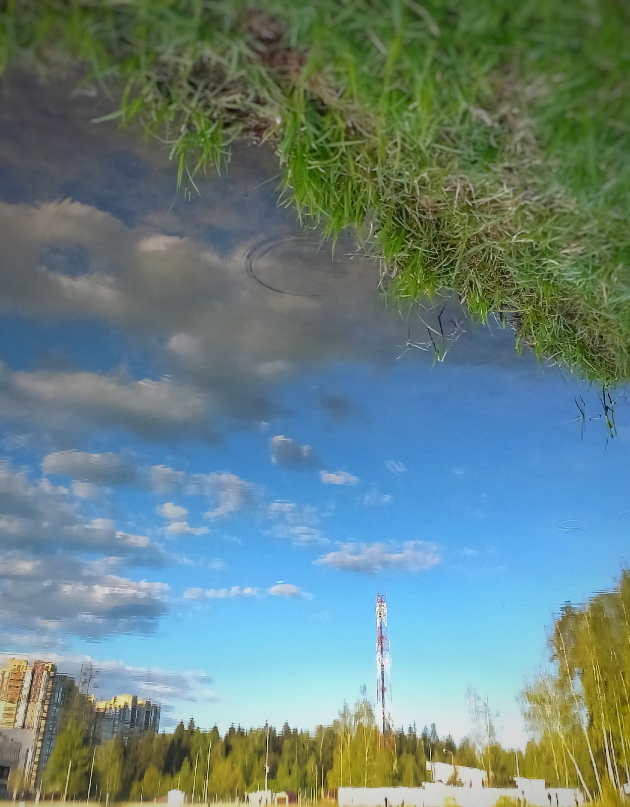 Май 2024 в Краснознаменске.☀⛈????