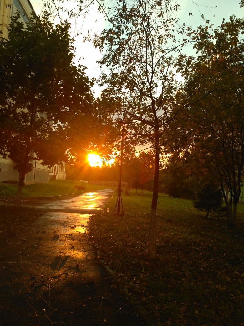 Осенний Краснознаменск Фото: Ксения Крюкова