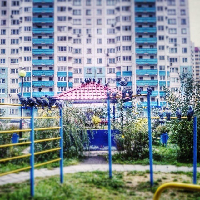 Автор фотографии Женечка