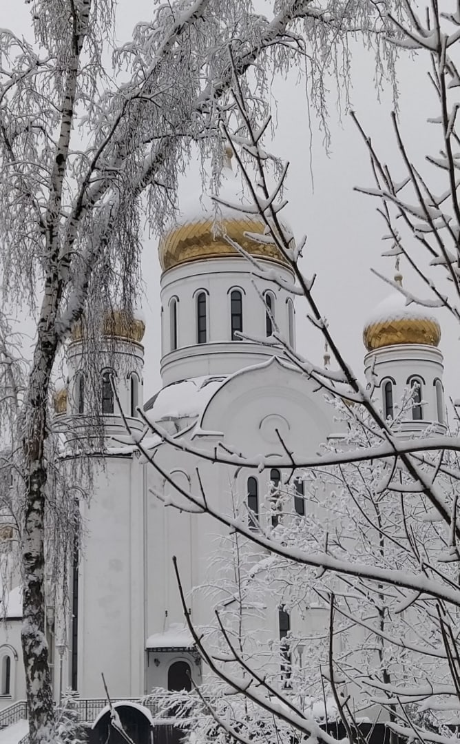 ???? Екатерина Вередченко — Краснознаменск