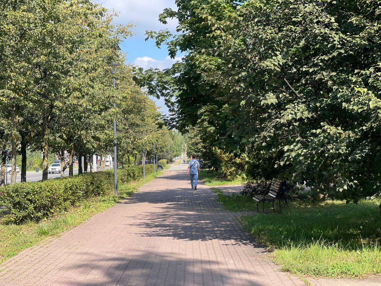 Осенняя прогулка по городу????
