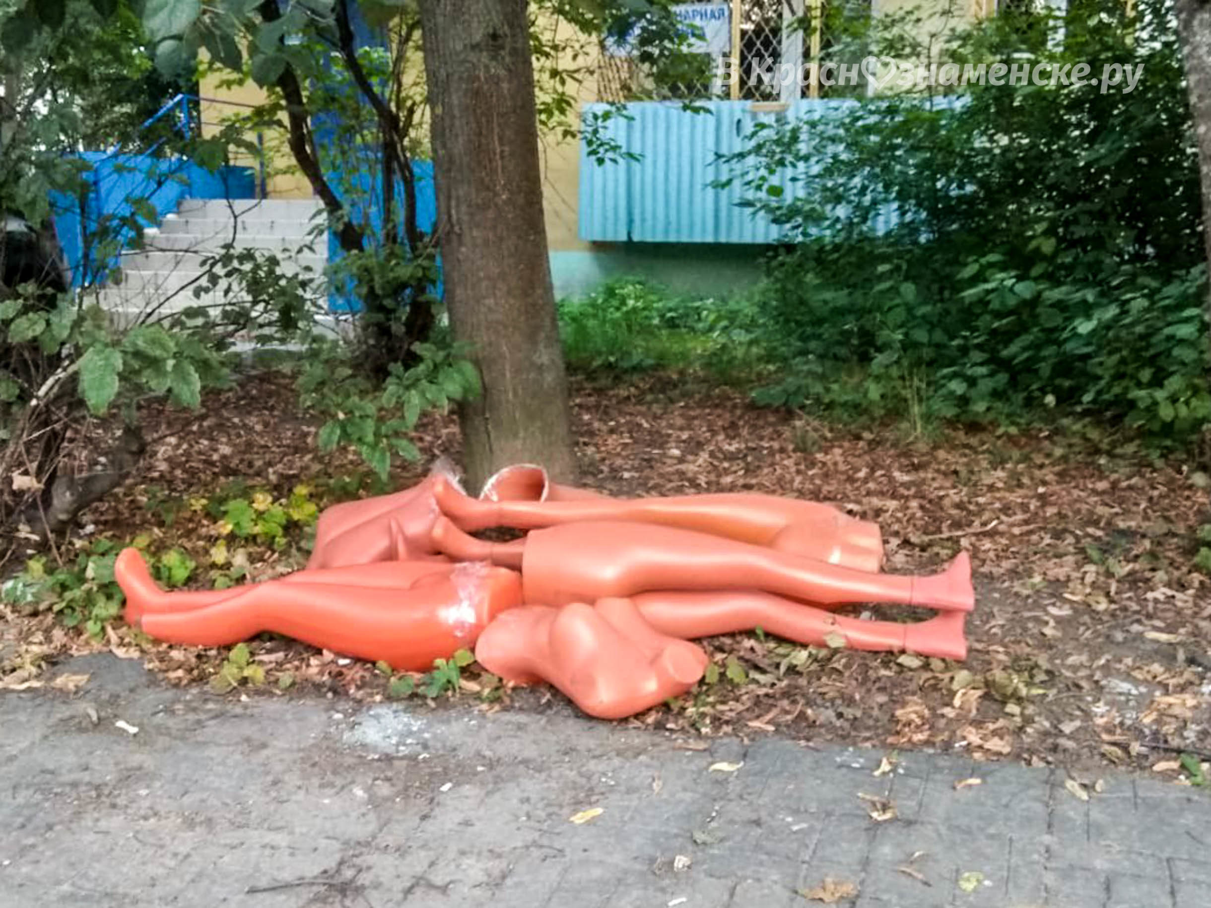 Придумайте название