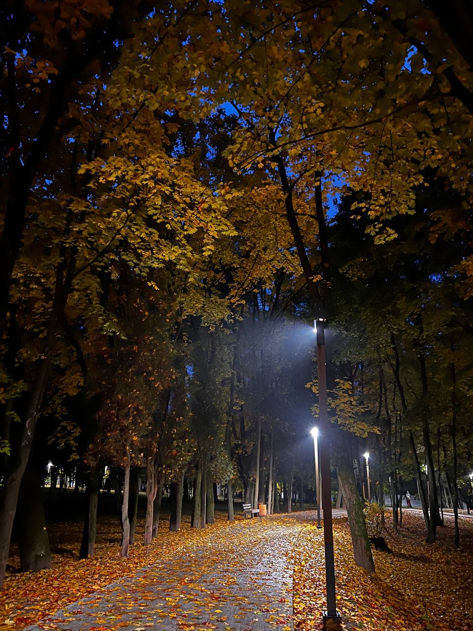 Красота краснознаменской осени ????  ⓒ Краснознаменск ???? Чат htt