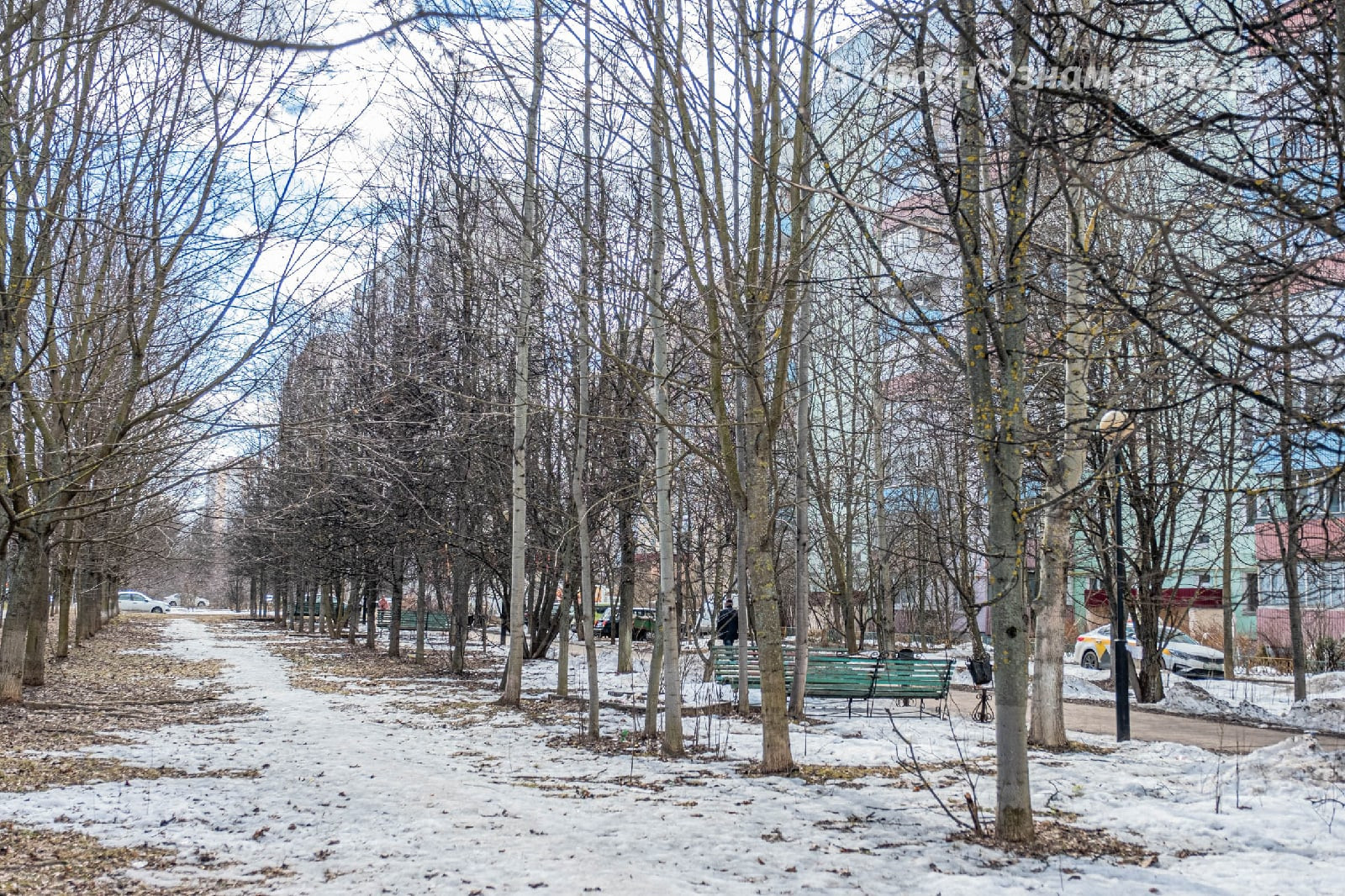 Доброе утро, Краснознаменск! Утром 0°… +1°, Дождь со снегом,