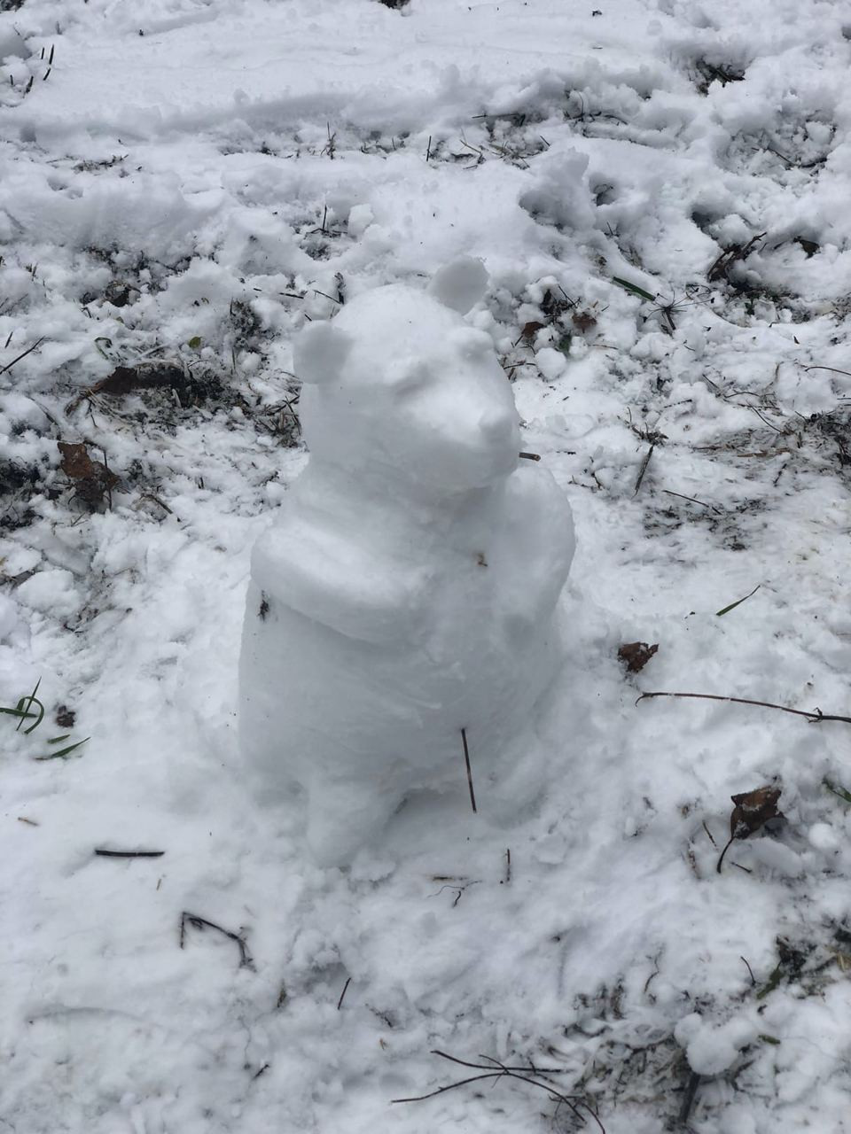 Подборка снеговичков после первого снегопада⛄❄ — Краснознаменск