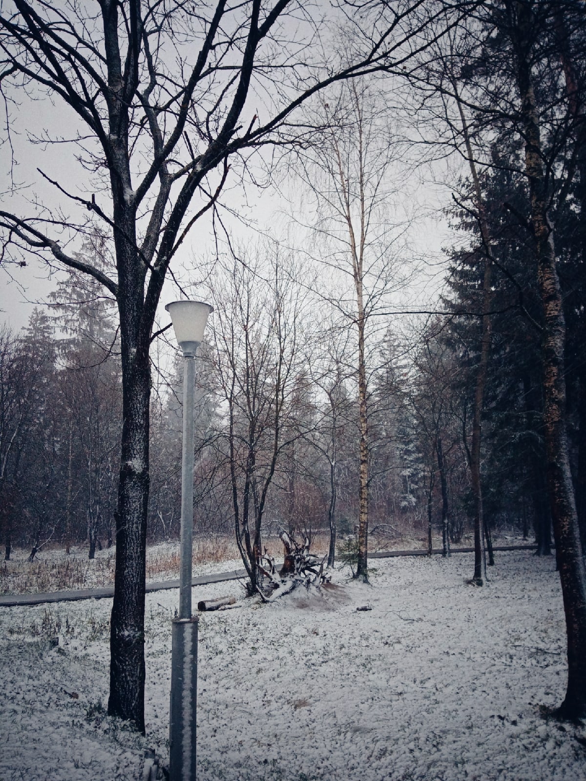 ???? Наталья Меняйлова — Краснознаменск