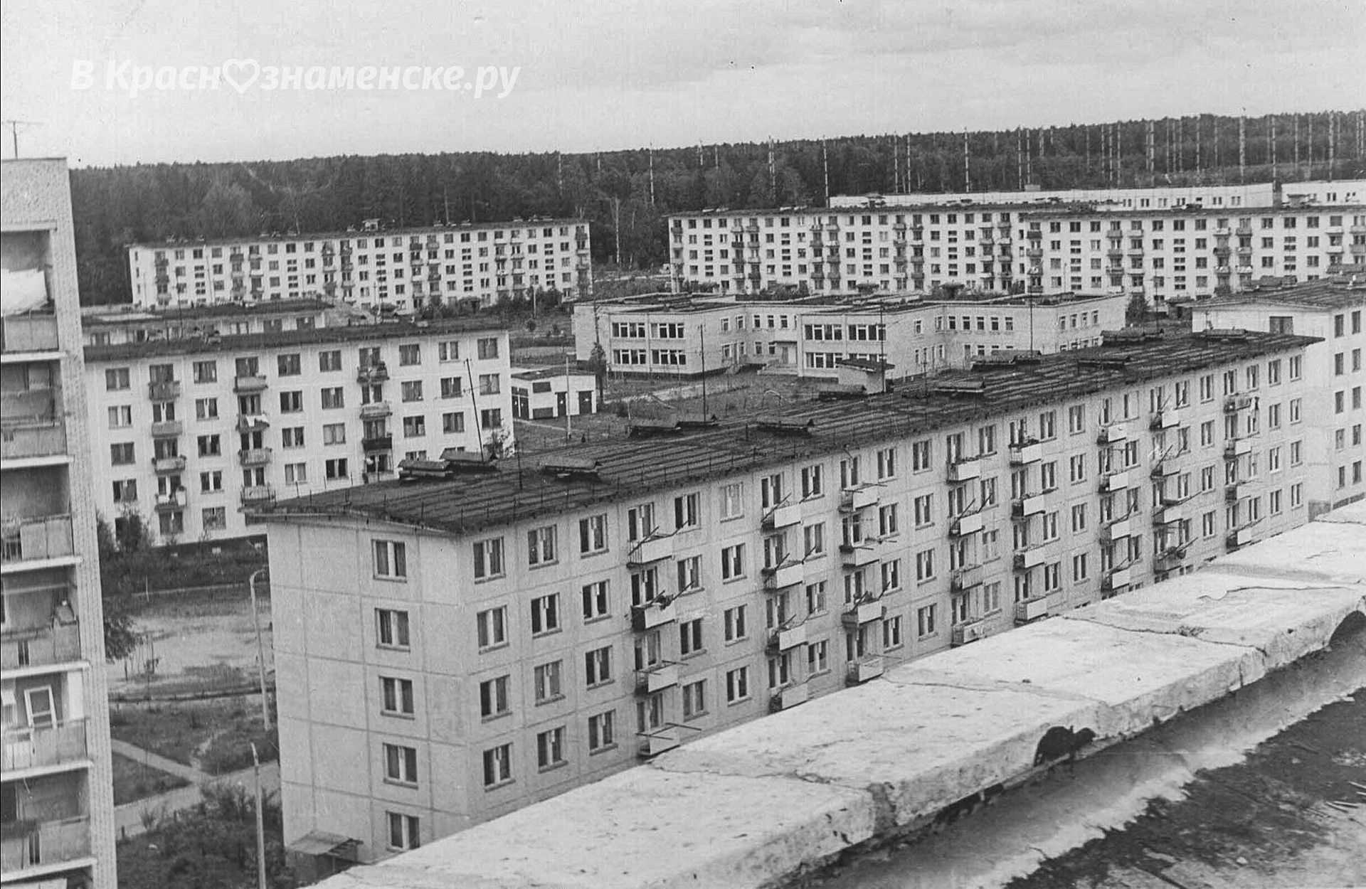 Фото 48978 — Краснознаменск